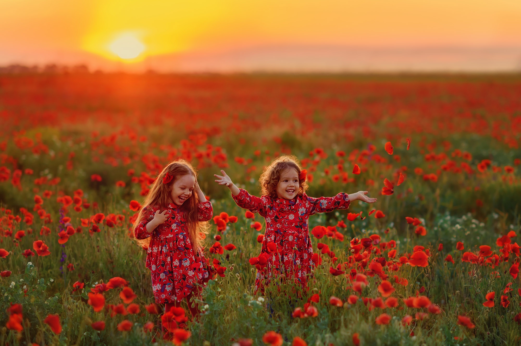 Laden Sie das Kind, Fotografie, Sonnenuntergang, Rote Blume, Kleines Mädchen-Bild kostenlos auf Ihren PC-Desktop herunter
