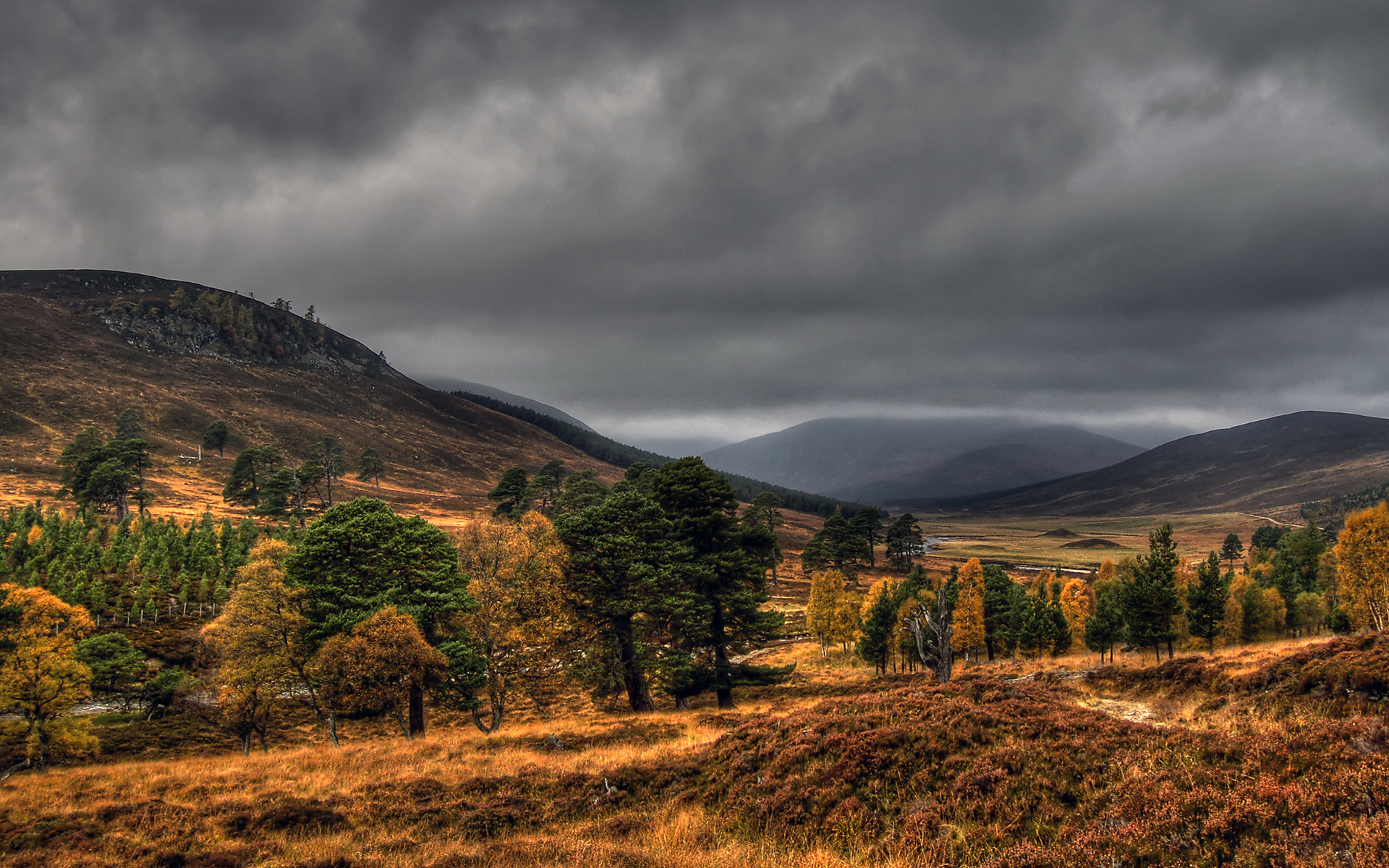 Download mobile wallpaper Nature, Mountain, Tree, Earth, Field, Cloud, Scenic for free.