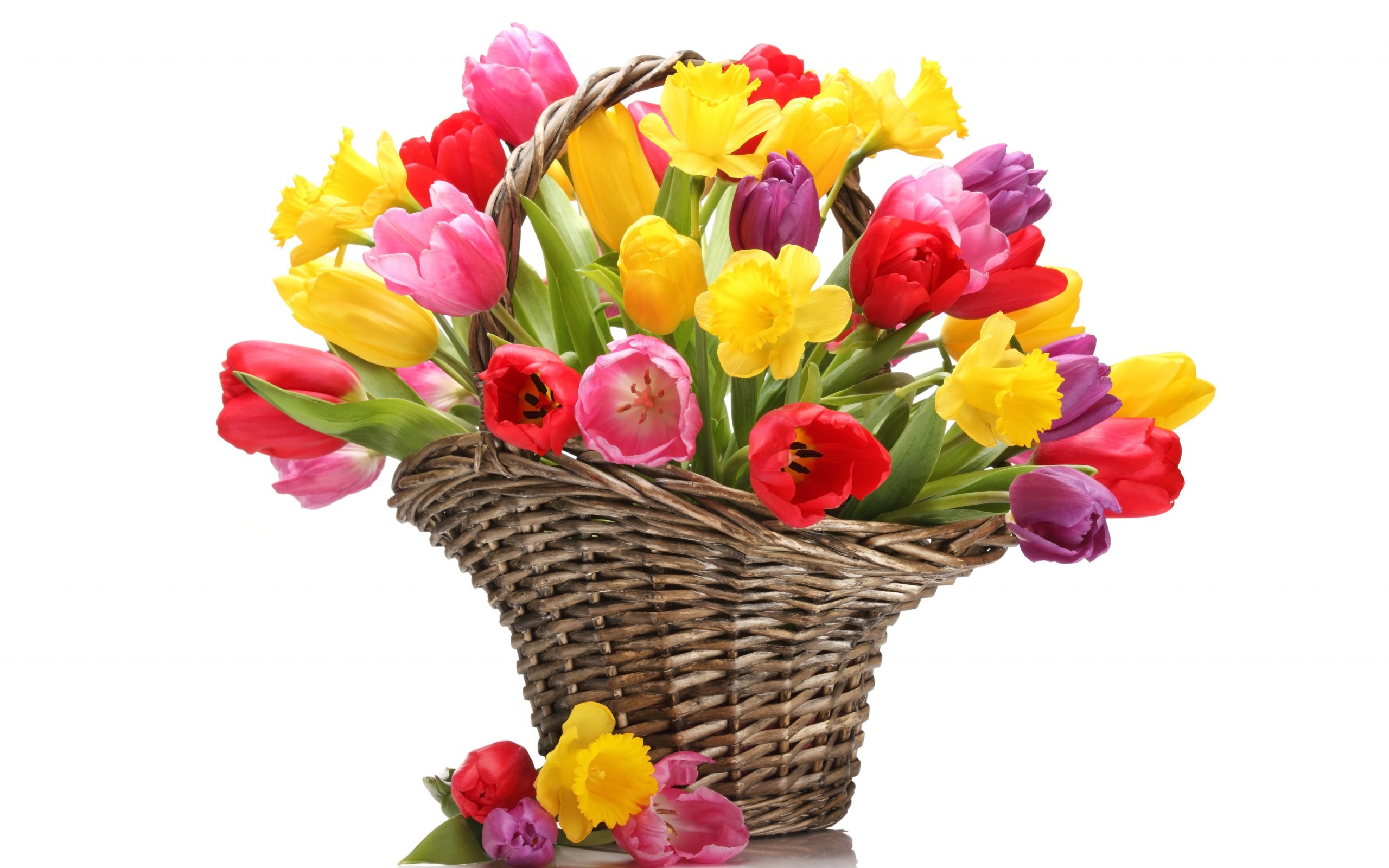 Download mobile wallpaper Flower, Colors, Colorful, Basket, Tulip, Yellow Flower, Red Flower, Man Made, Pink Flower for free.
