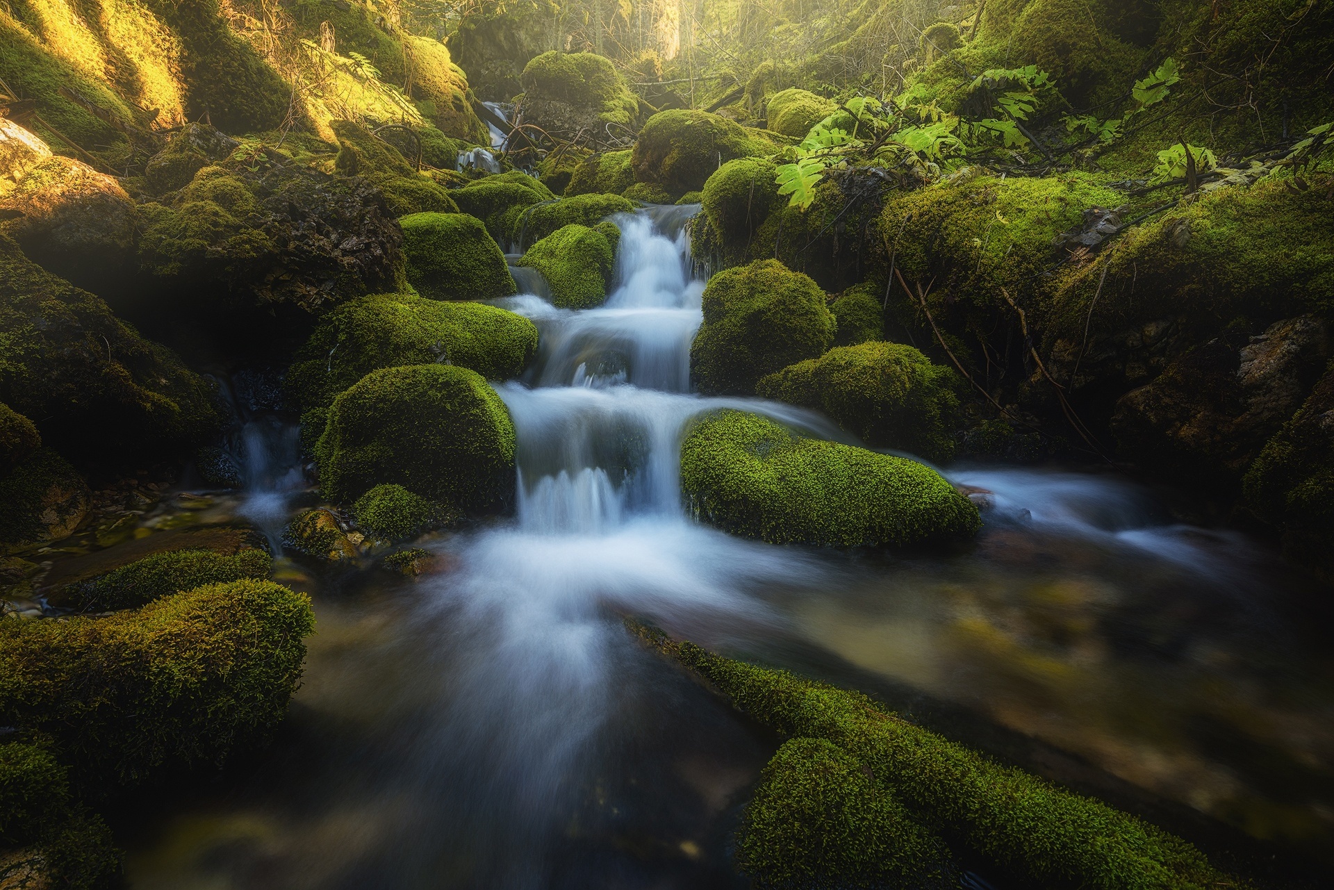 Download mobile wallpaper Nature, Earth, Moss, Stream for free.