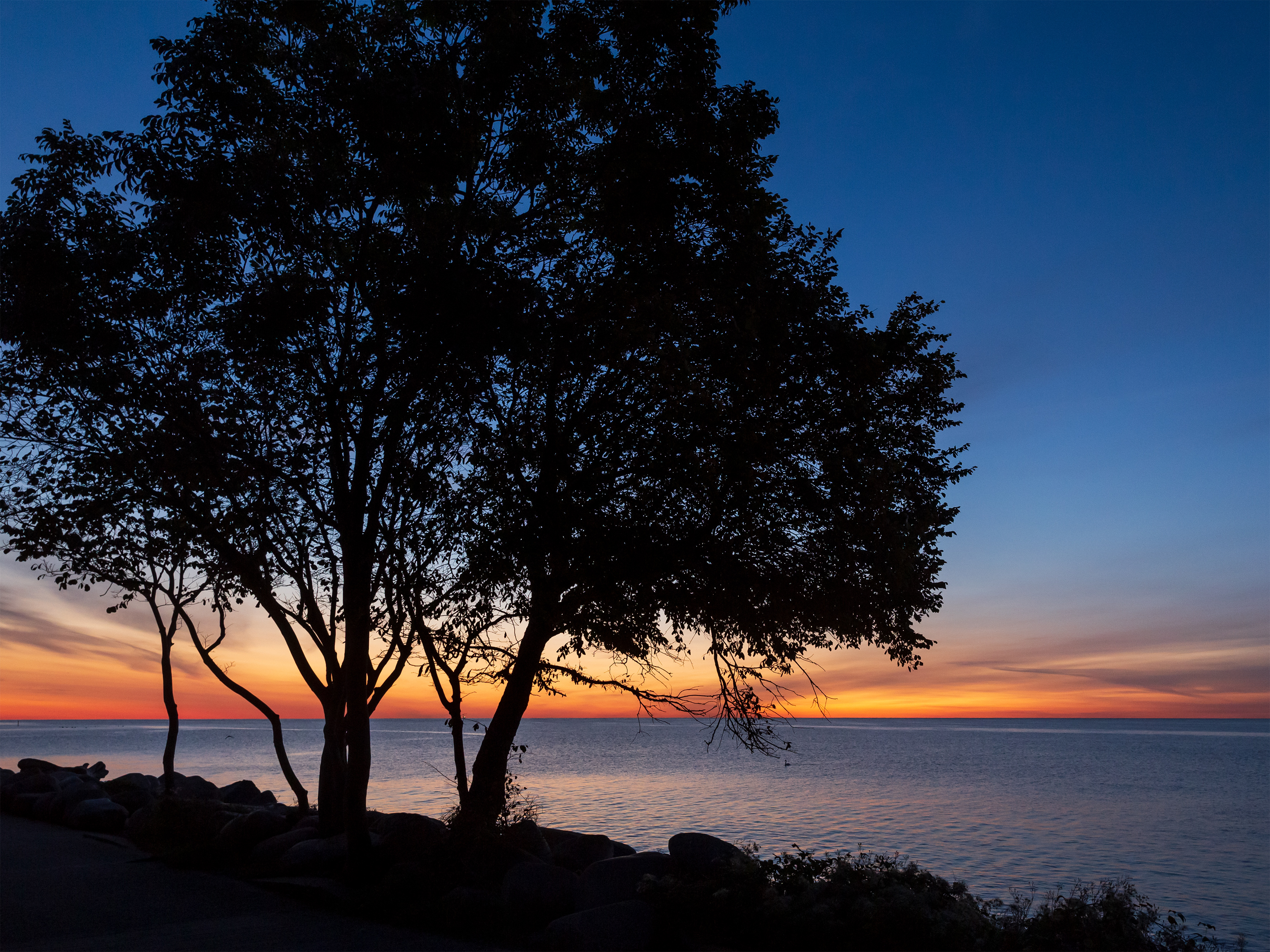 Handy-Wallpaper Bäume, Horizont, Wasser, Sunset, Silhouetten, Sea, Dunkel kostenlos herunterladen.