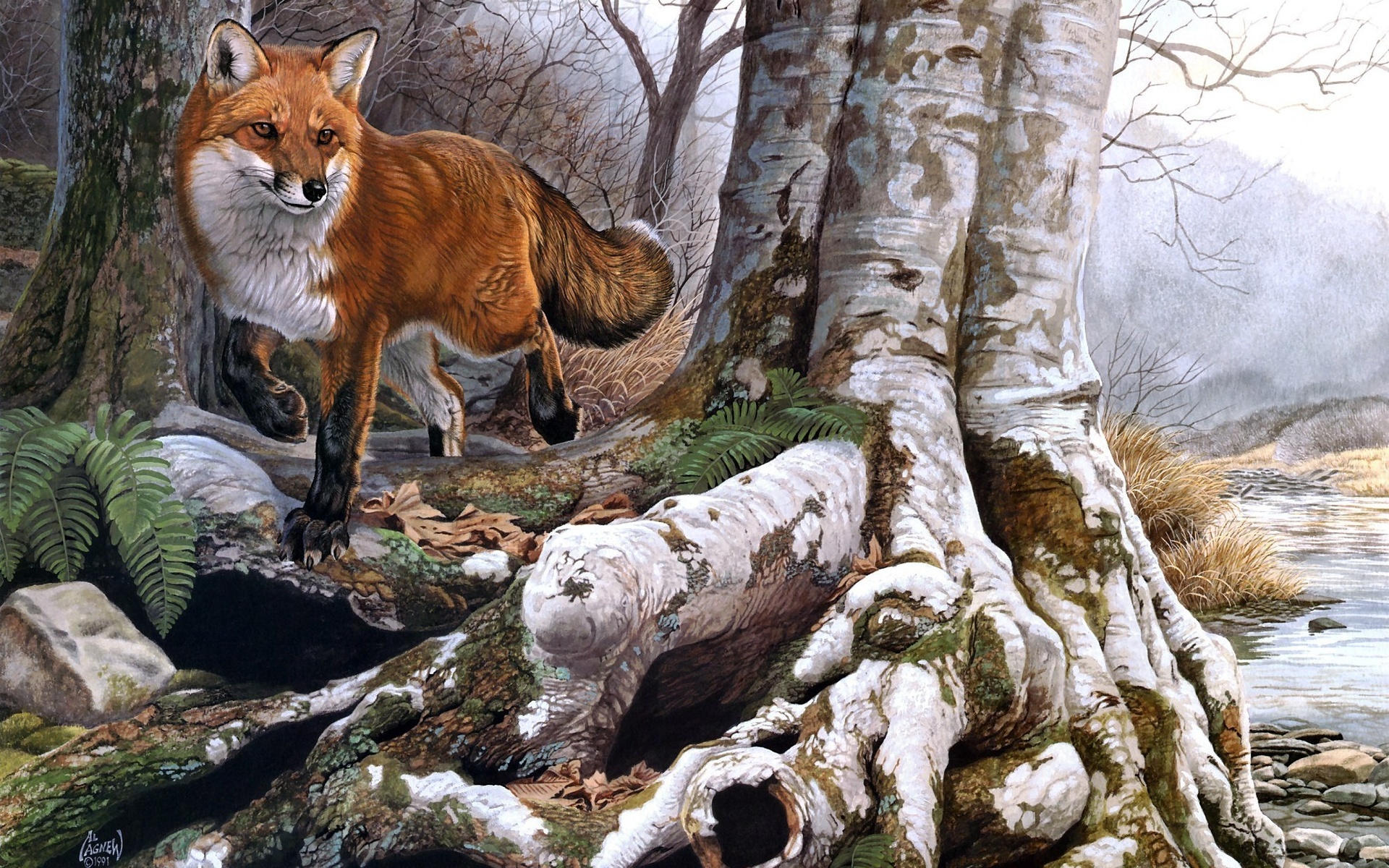 1920x1080 Background animal, fox, forest, nature, river, stream