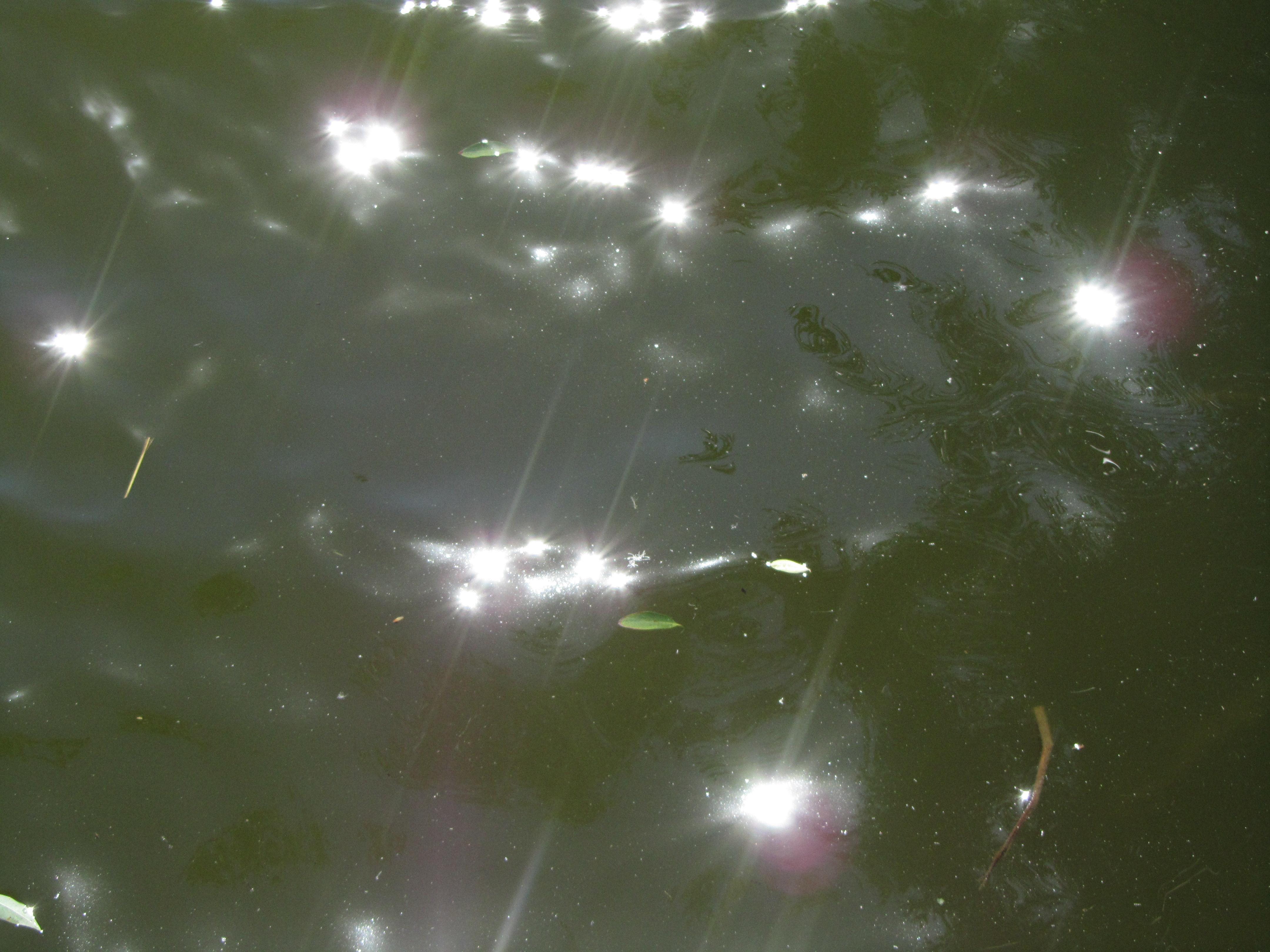 Laden Sie das Wasser, Erde/natur-Bild kostenlos auf Ihren PC-Desktop herunter