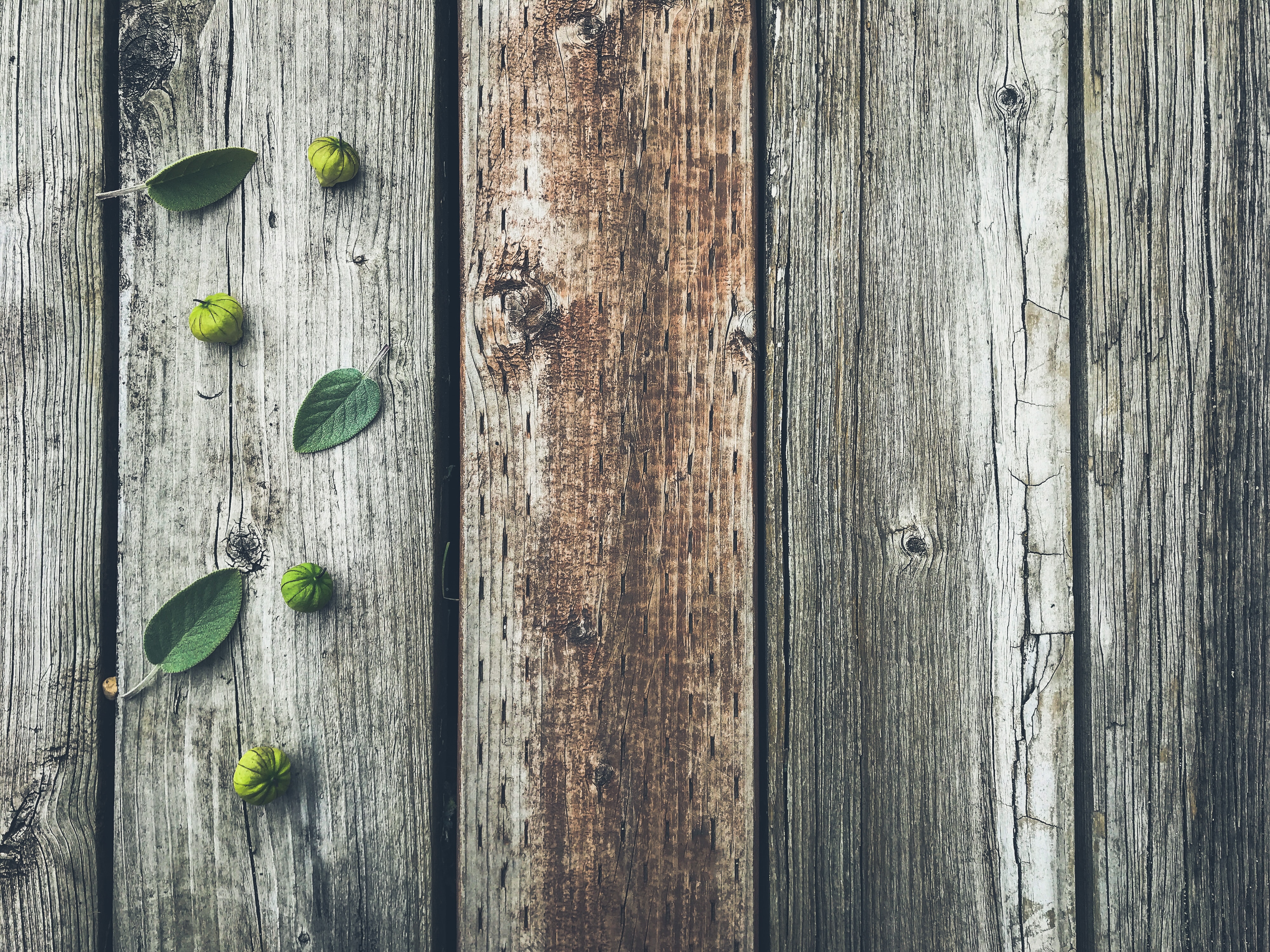 planks, wooden, leaves, wood, tree, texture, textures, fruit, board HD wallpaper
