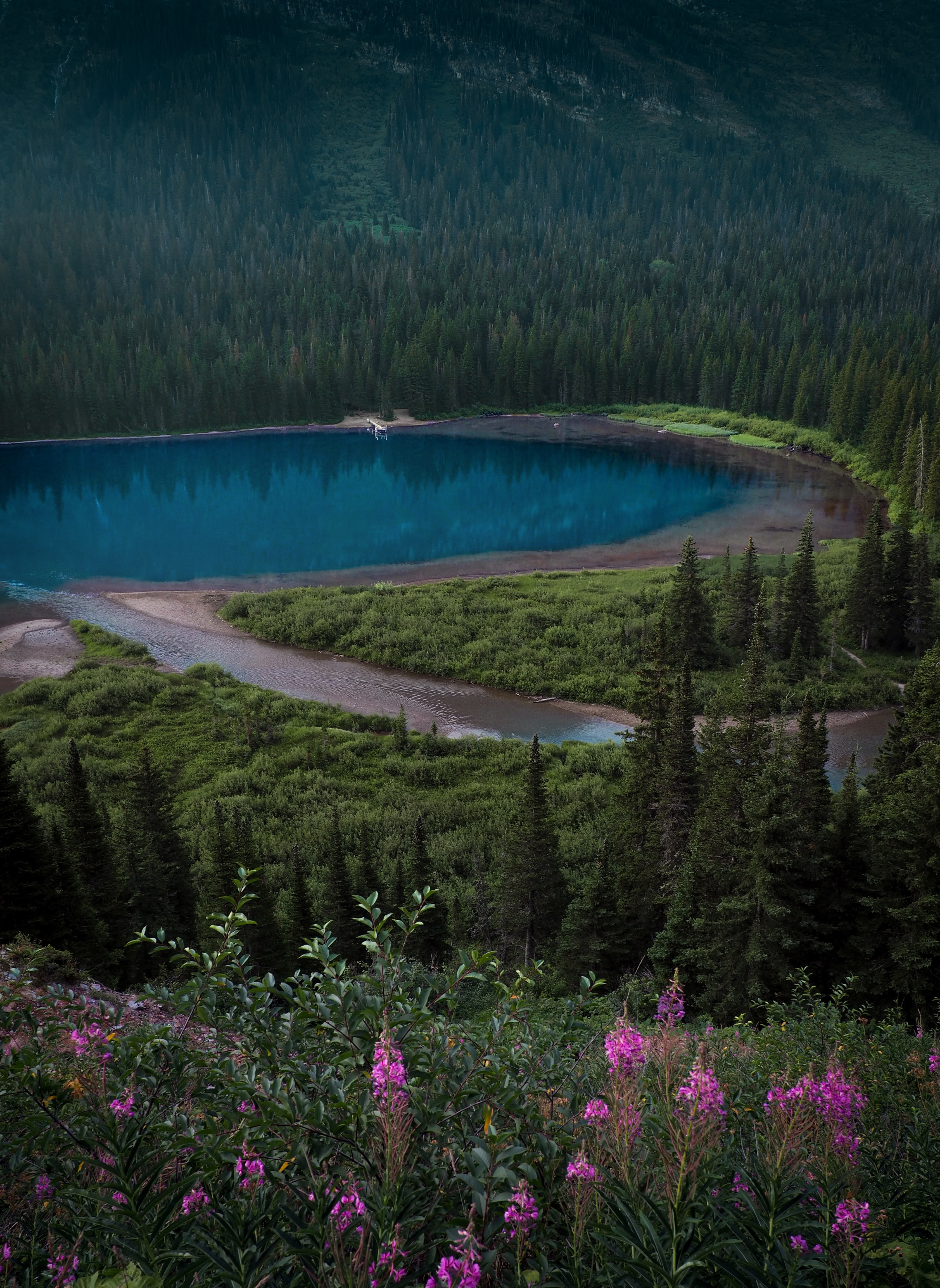 Free download wallpaper Shore, Bank, Slope, Nature, Lake, Forest, Landscape on your PC desktop