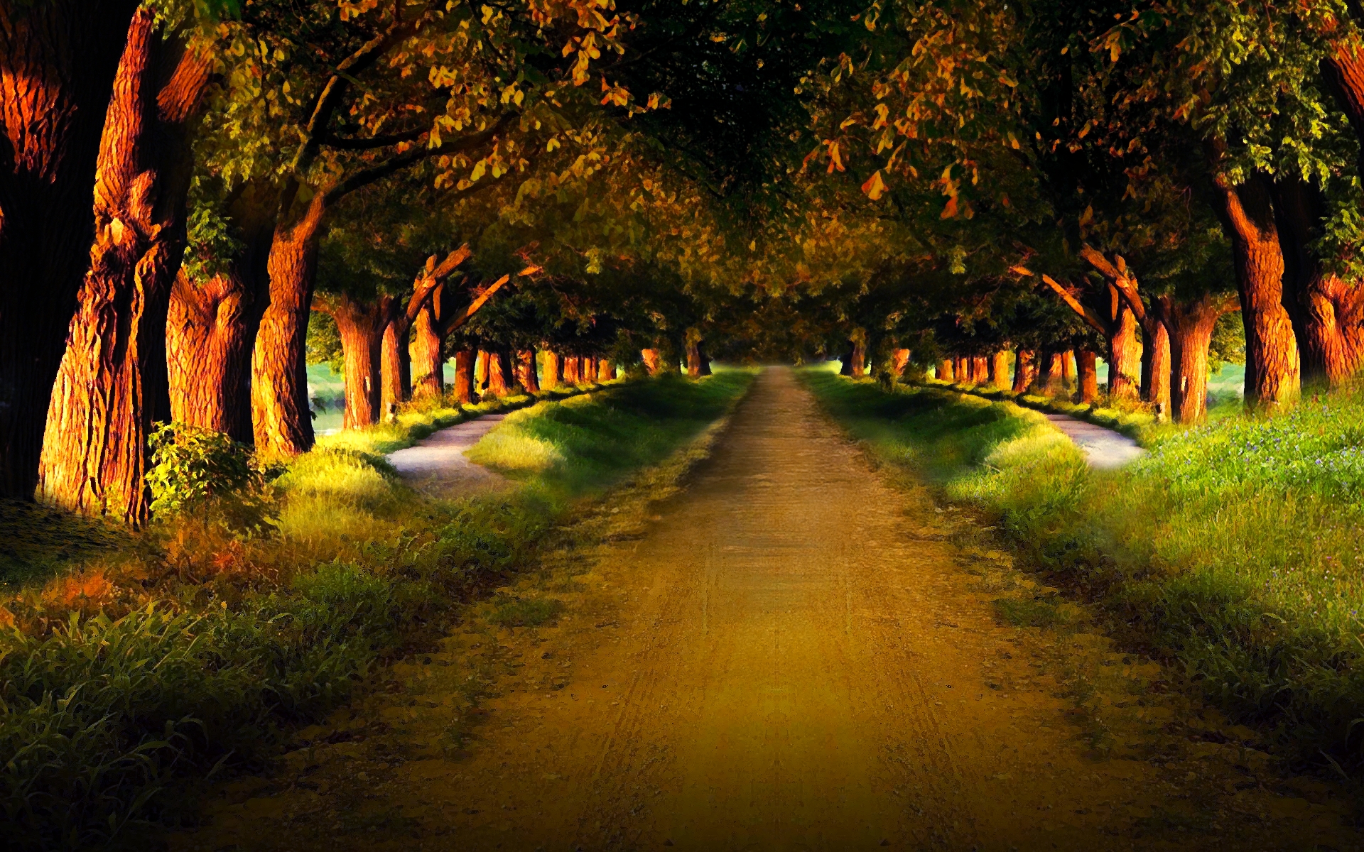 Free download wallpaper Road, Forest, Earth, Man Made on your PC desktop
