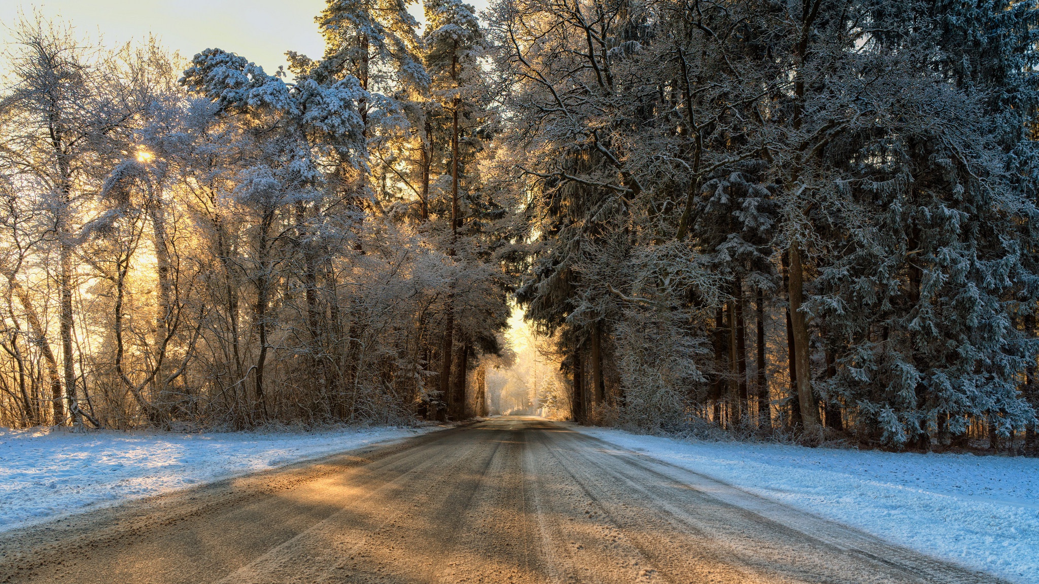Laden Sie das Winter, Natur, Straße, Wald, Baum, Sonnig, Menschengemacht-Bild kostenlos auf Ihren PC-Desktop herunter