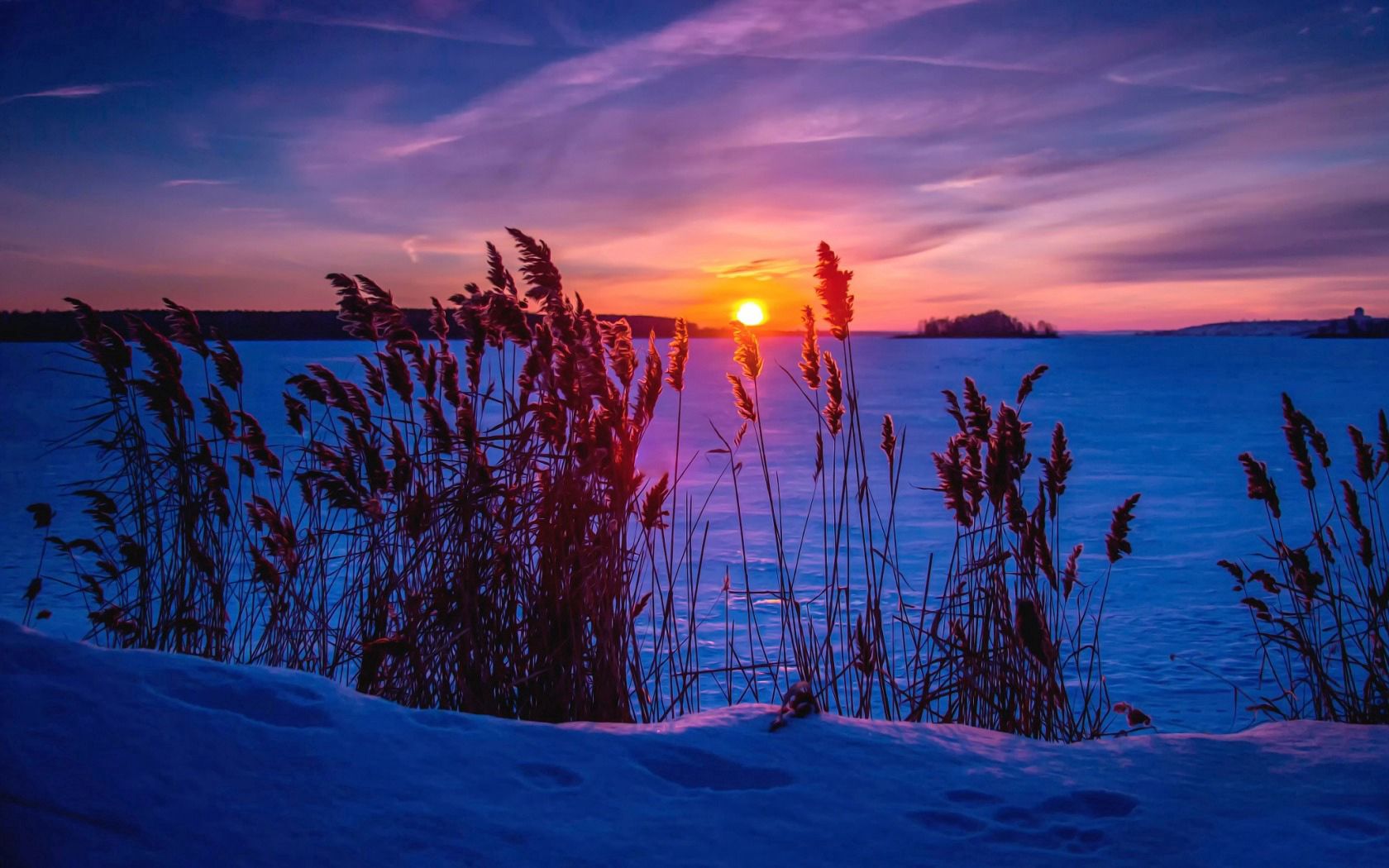 Free download wallpaper Grass, Nature, Snow, Winter, Sunset on your PC desktop