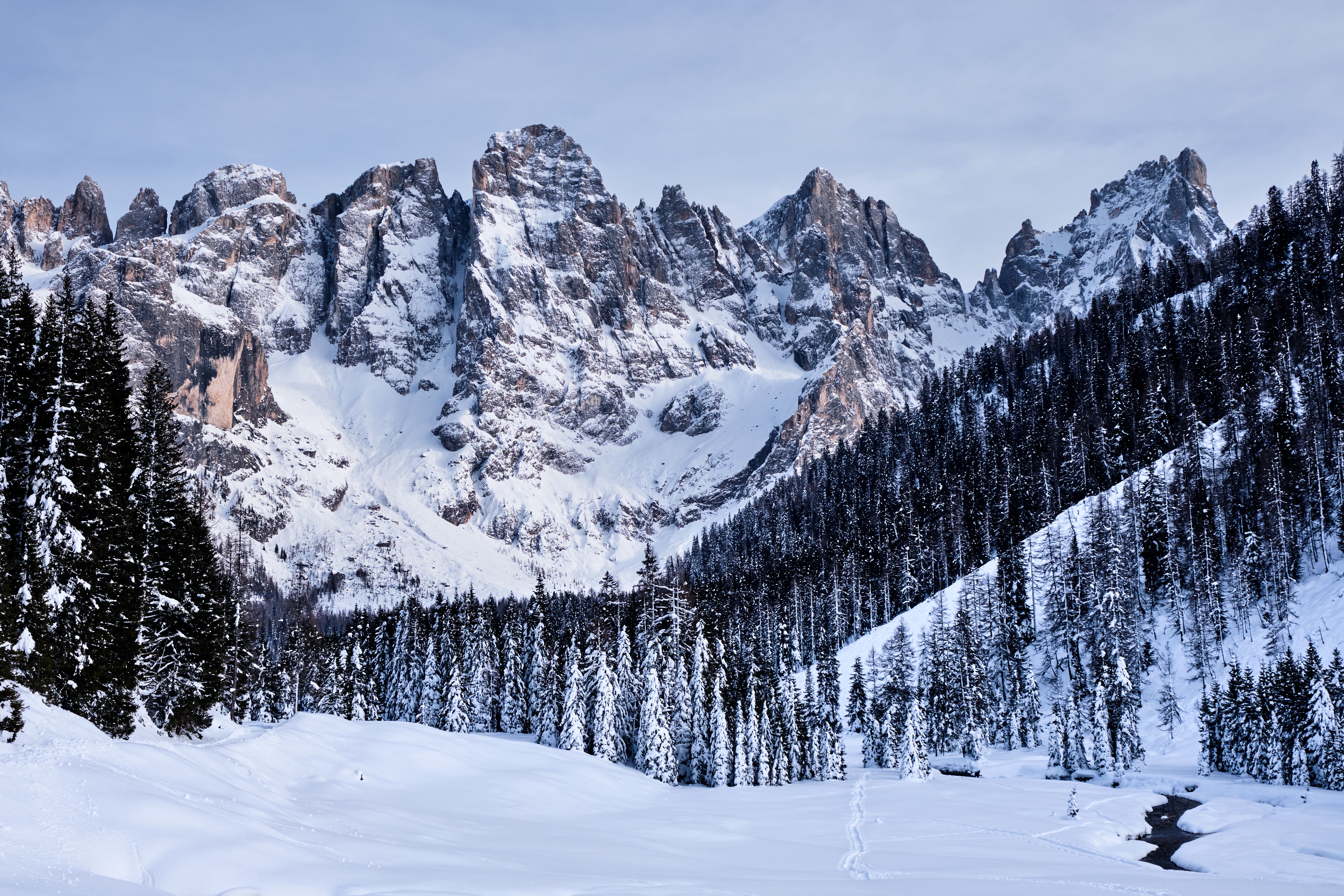 Скачать обои бесплатно Природа, Деревья, Заснеженный, Снег, Горы, Зима, Италия картинка на рабочий стол ПК