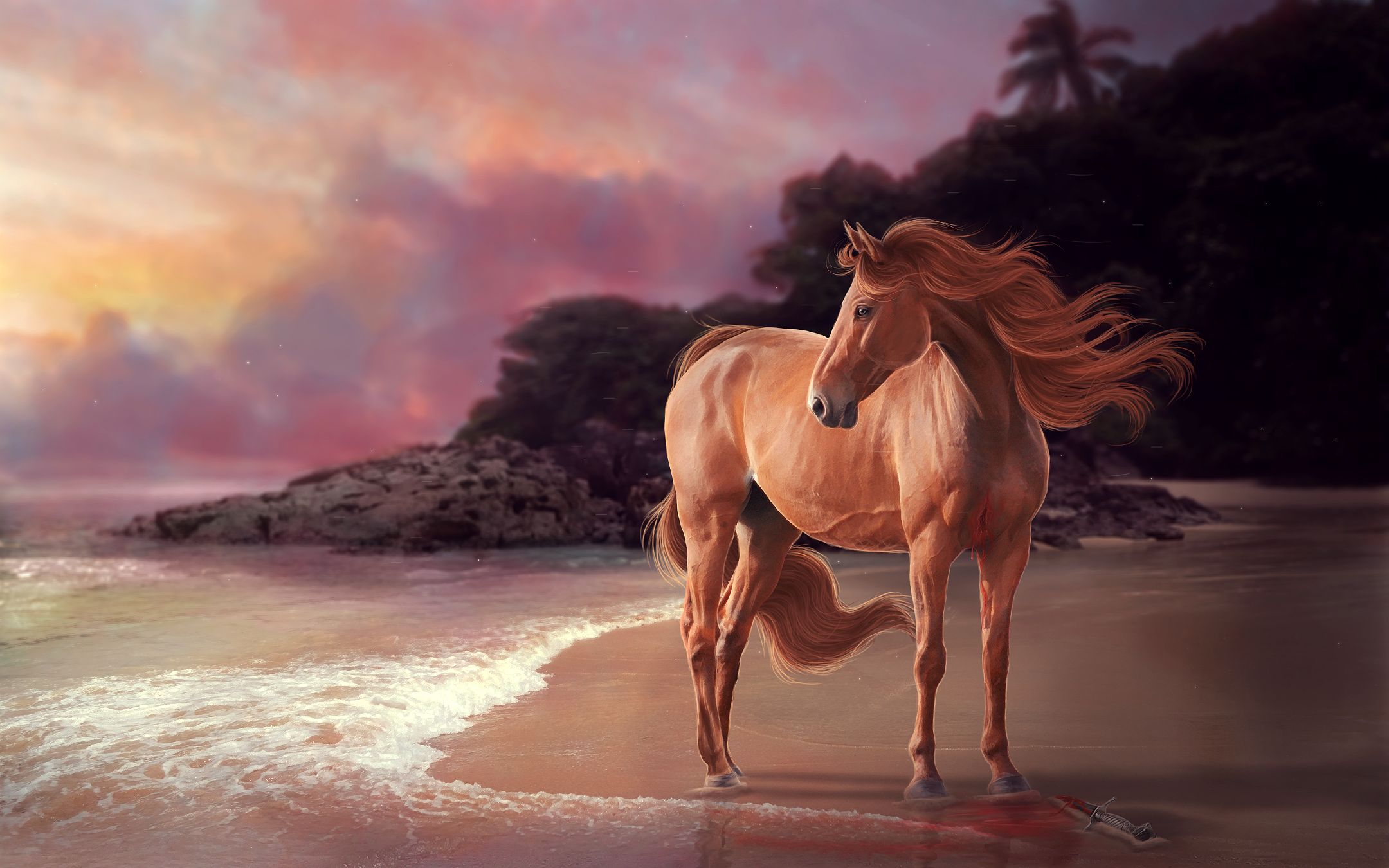 Descarga gratis la imagen Animales, Playa, Caballo, Atardecer en el escritorio de tu PC