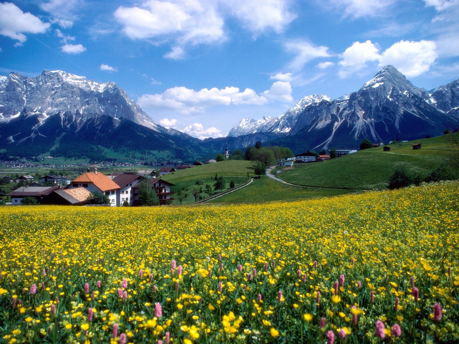 Free download wallpaper Landscape, Flowers, Plants, Mountains on your PC desktop