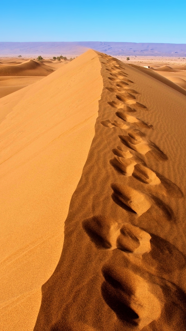 Download mobile wallpaper Sand, Desert, Earth, Dune, Sahara, Africa, Algeria, Footprint for free.