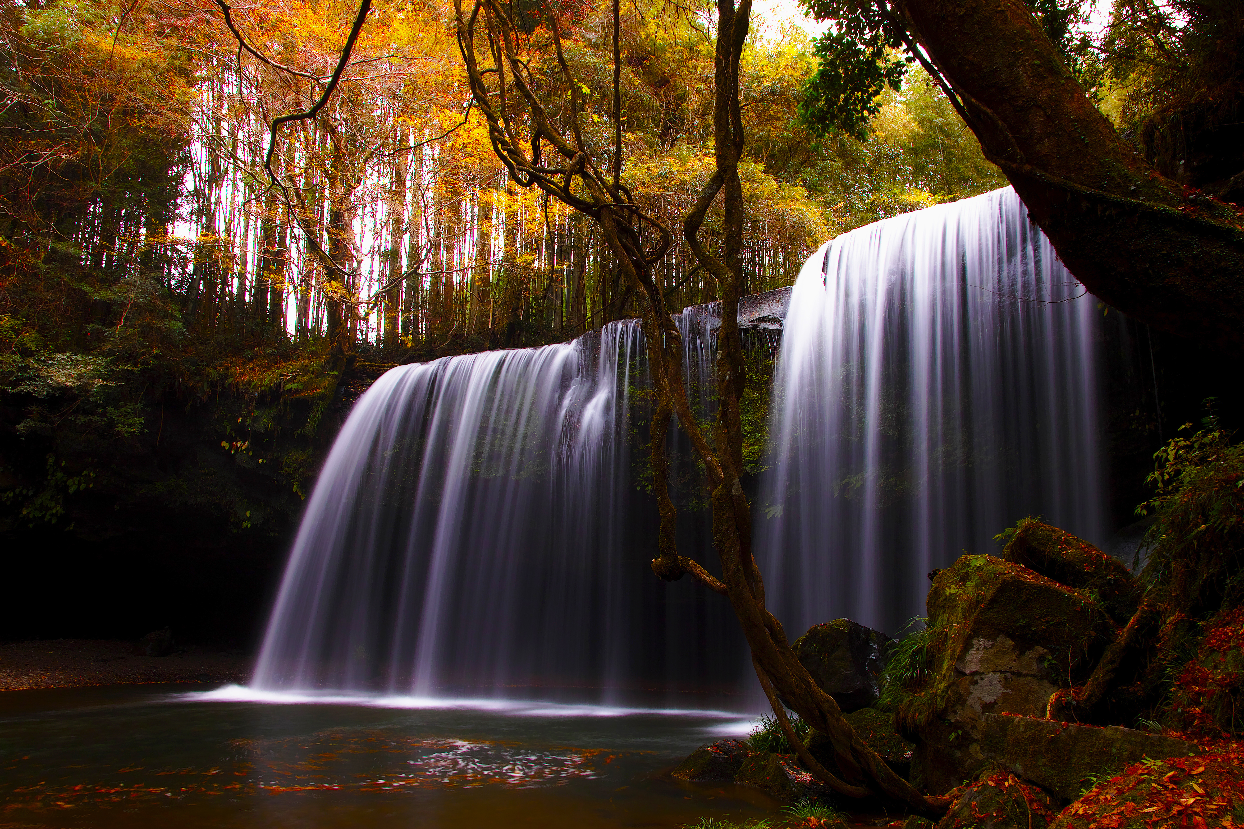 Free download wallpaper Nature, Waterfalls, Waterfall, Forest, Leaf, Fall, Earth, Stream, River, Season on your PC desktop