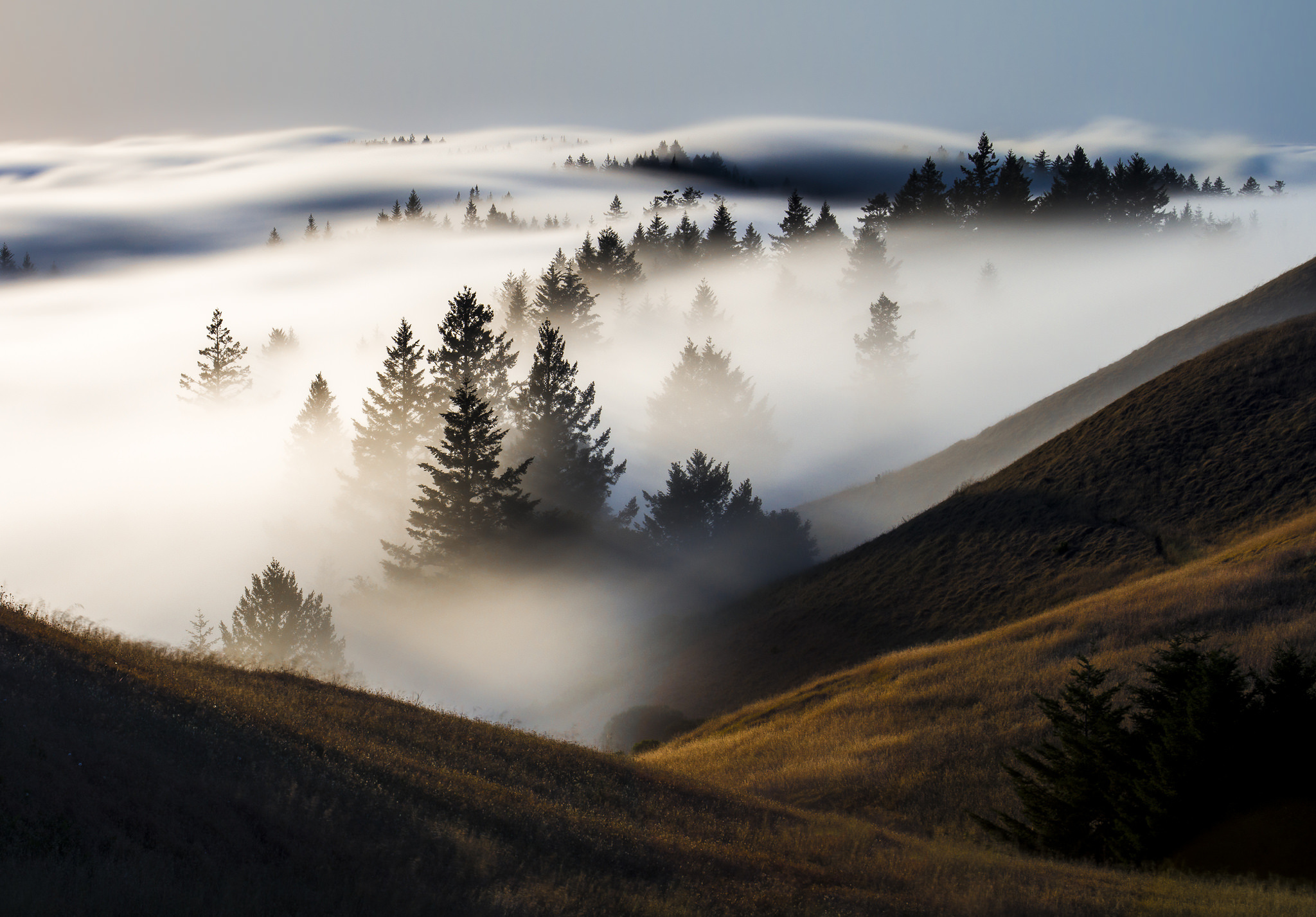 Free download wallpaper Landscape, Nature, Tree, Fog, Earth on your PC desktop