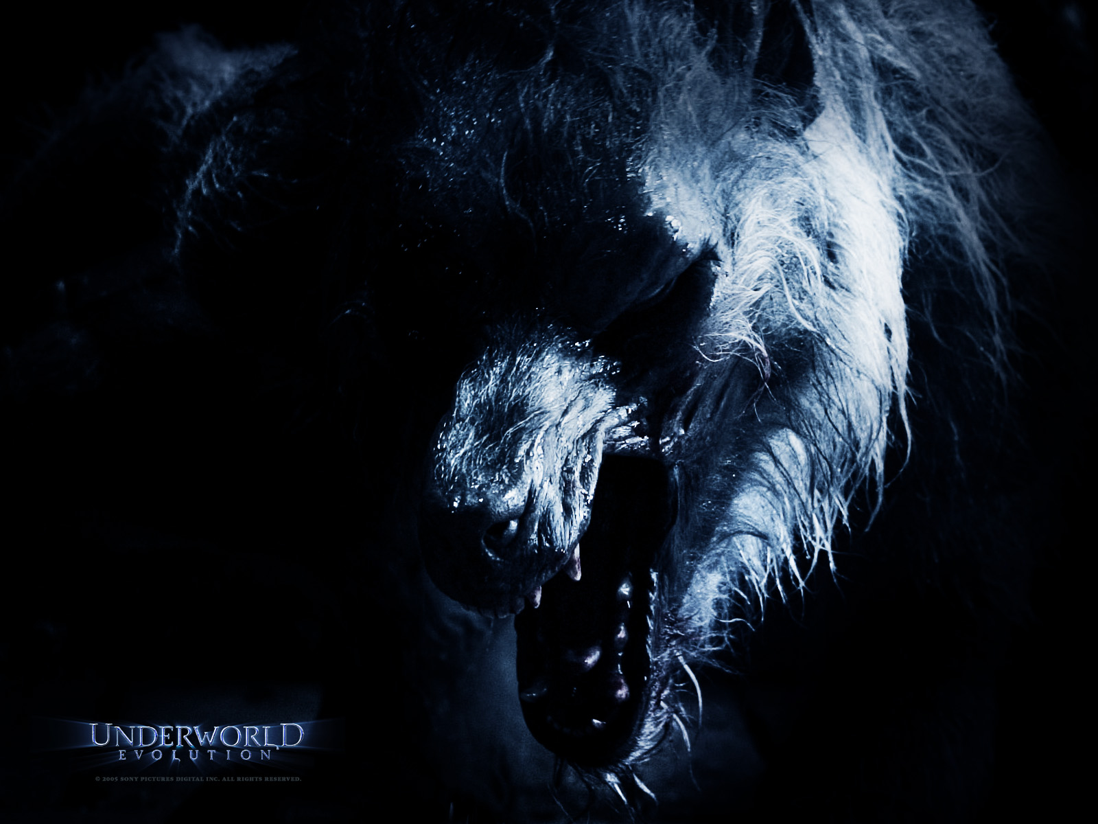 movie, underworld: evolution