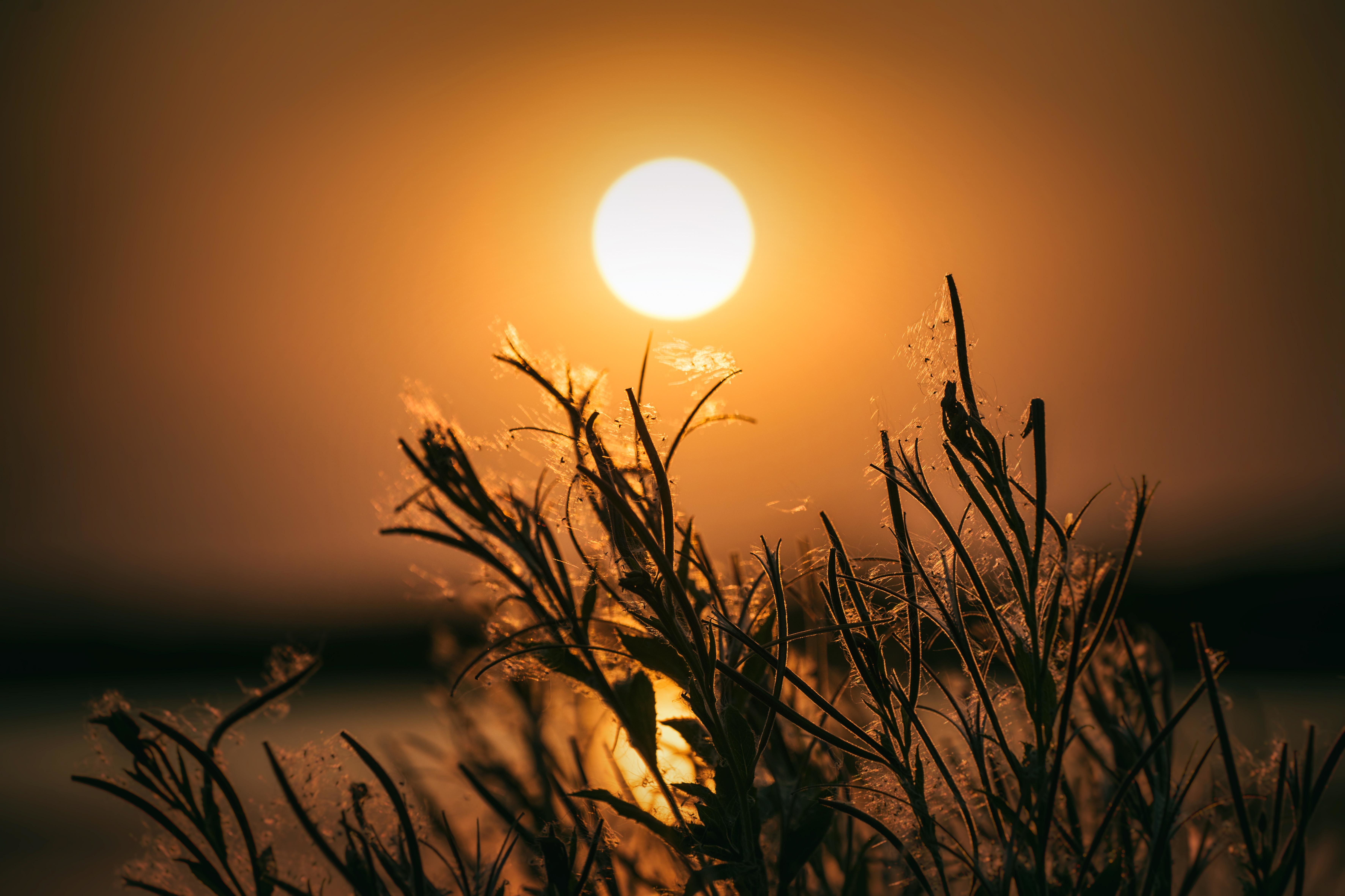 Free download wallpaper Sunset, Sun, Close Up, Photography on your PC desktop