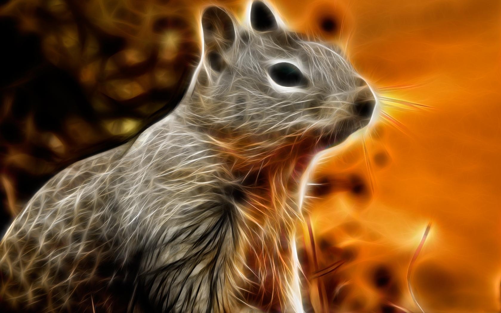 Download mobile wallpaper Animals, Squirrel, Pictures for free.