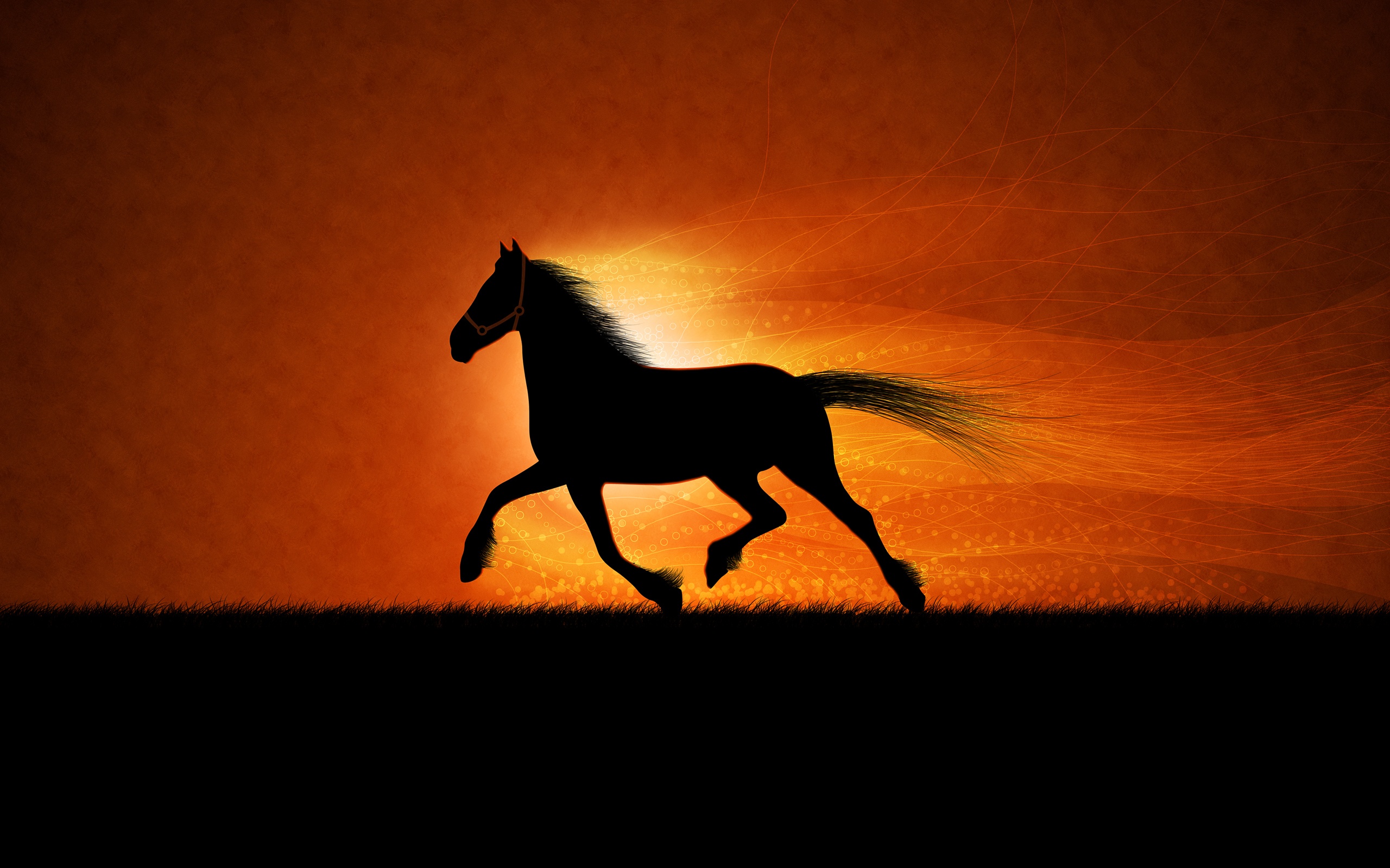 animal, artistic, horse, running, sunset