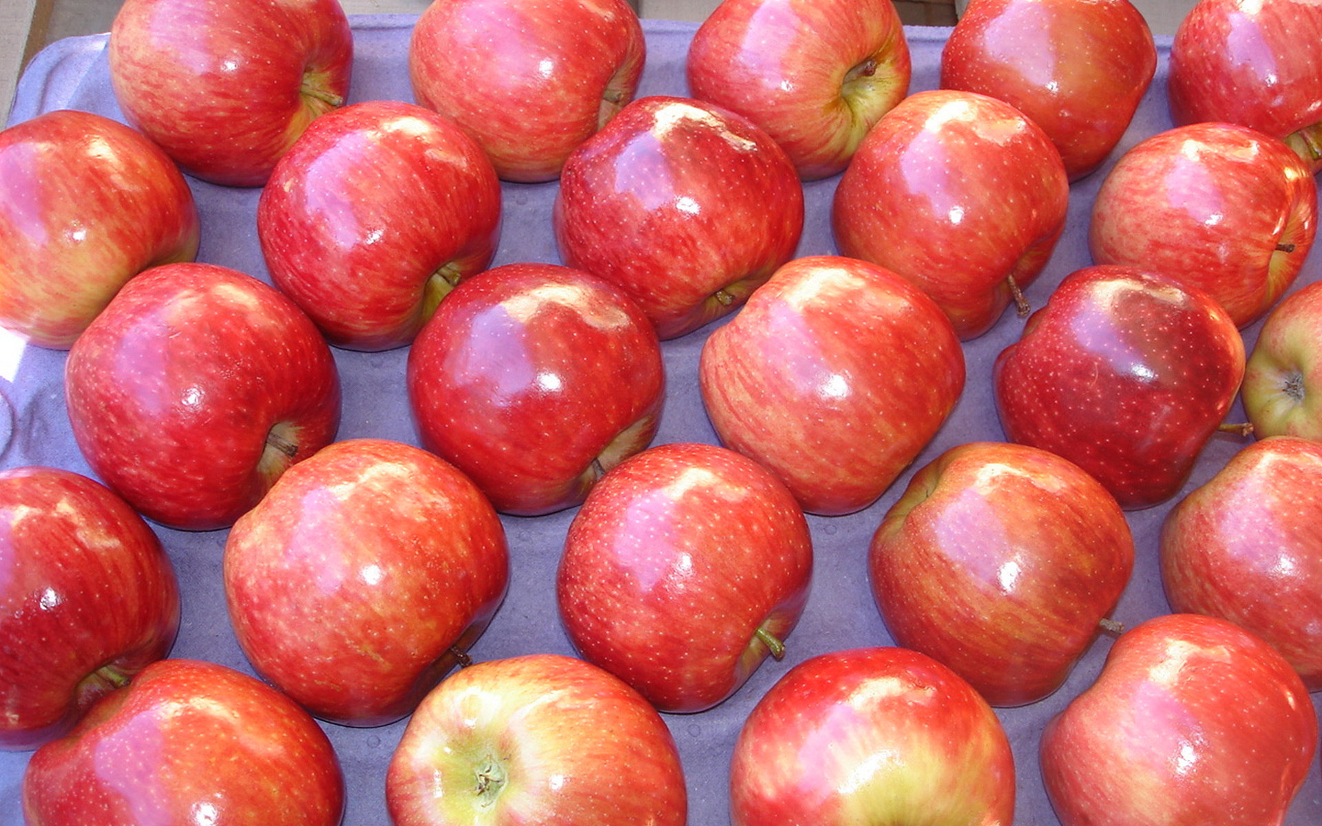 Descarga gratis la imagen Frutas, Alimento, Manzana en el escritorio de tu PC