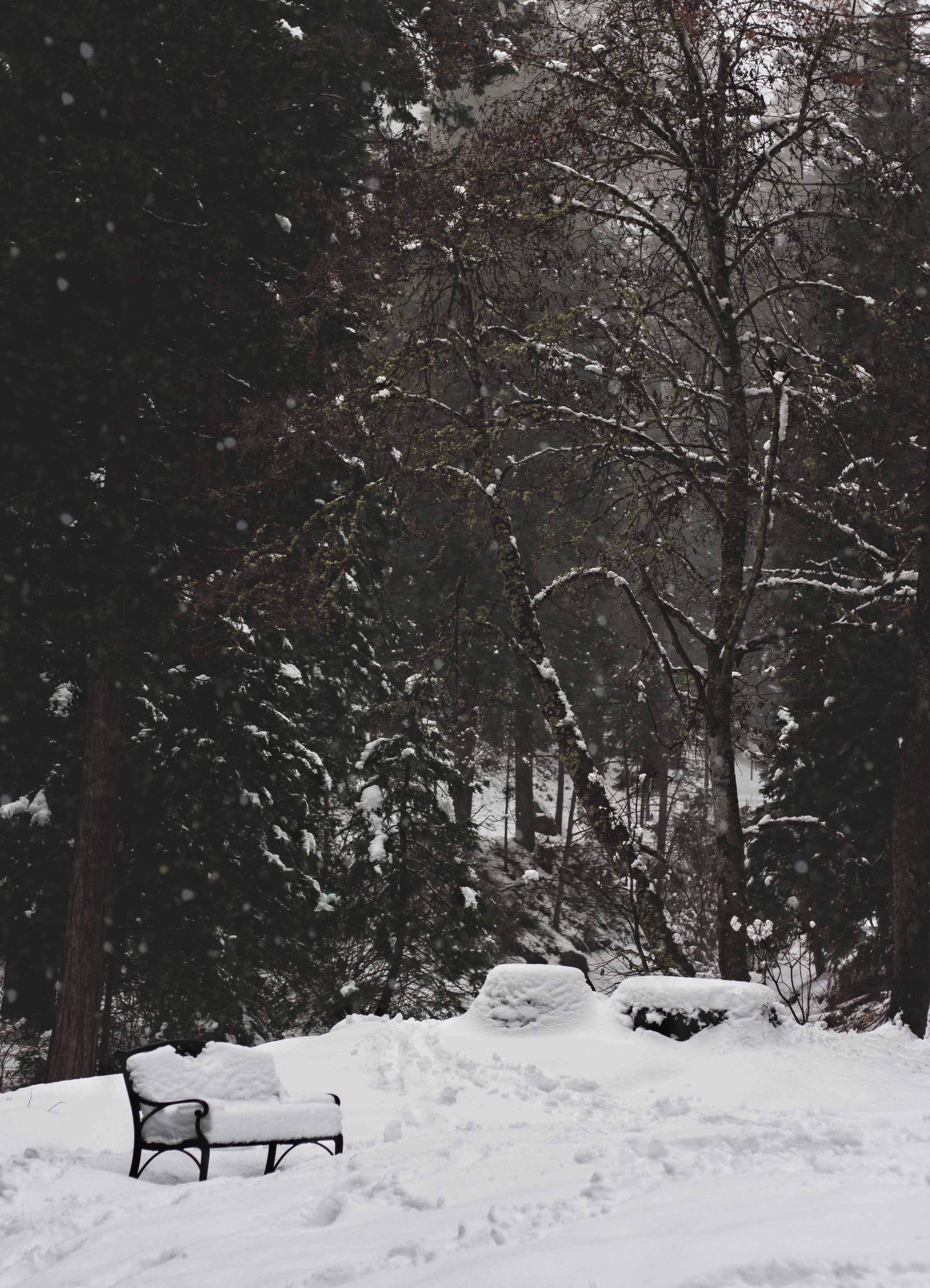 Скачать обои бесплатно Снег, Скамейка, Природа, Деревья, Парк, Зима картинка на рабочий стол ПК