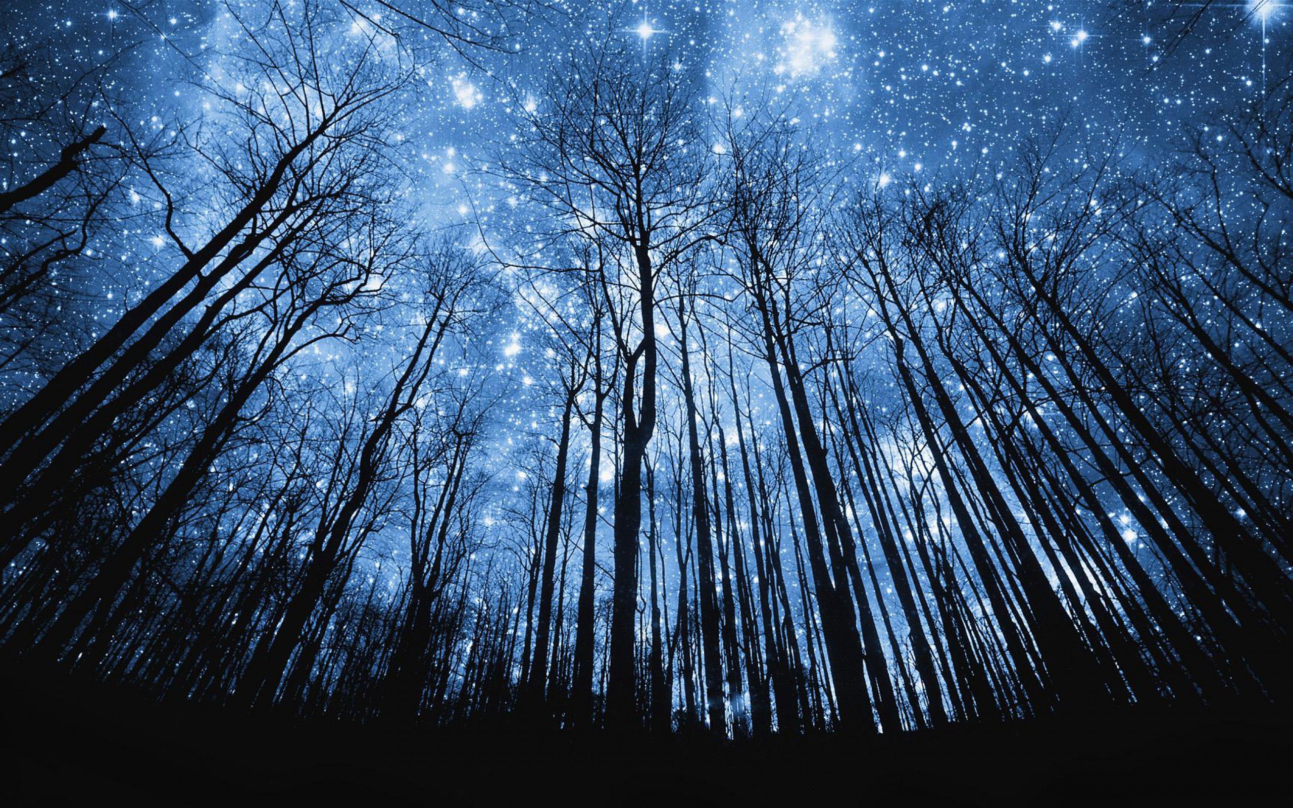 Download mobile wallpaper Stars, Forest, Earth for free.