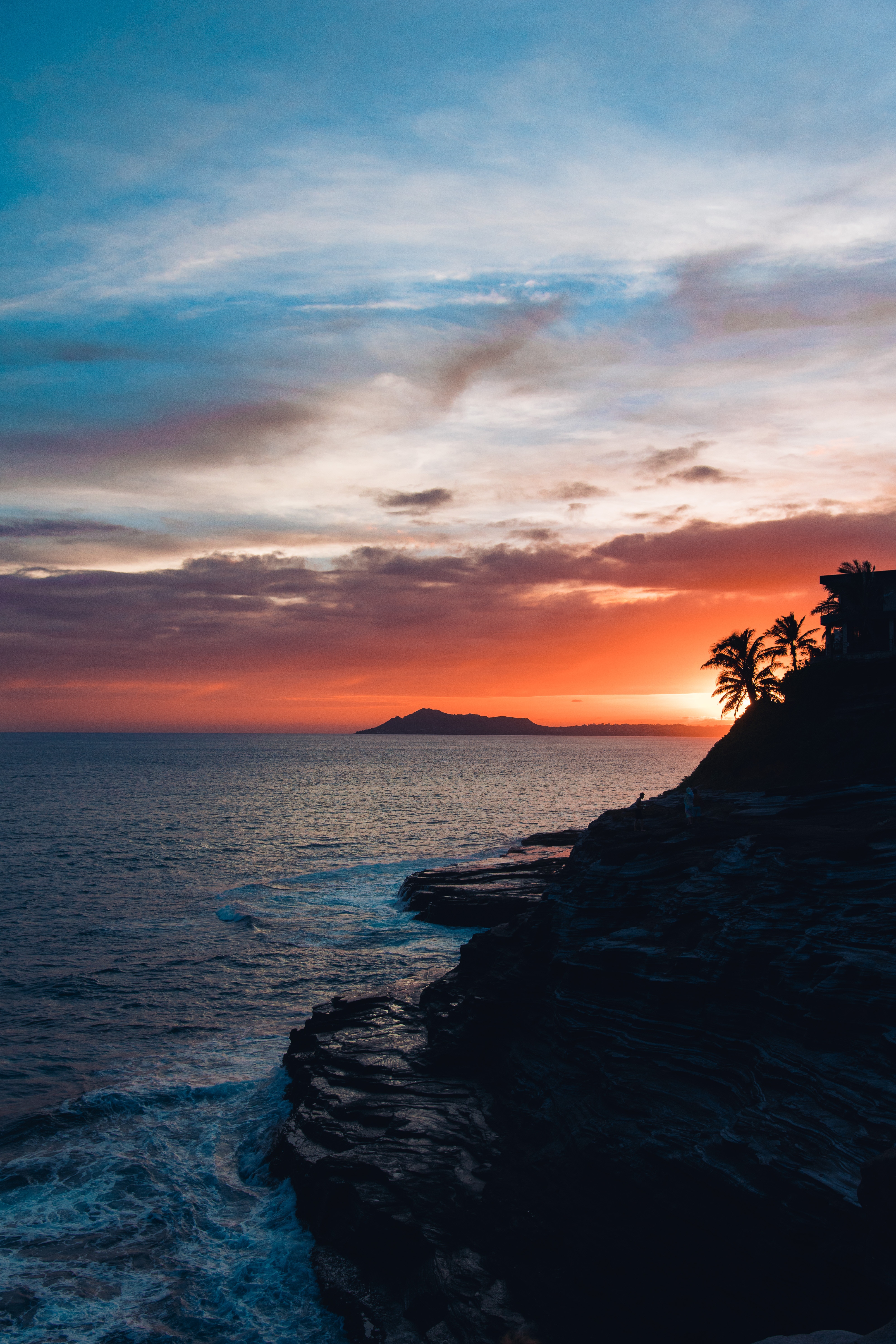 rock, palm, sea, sky, sunset, nature, night HD wallpaper