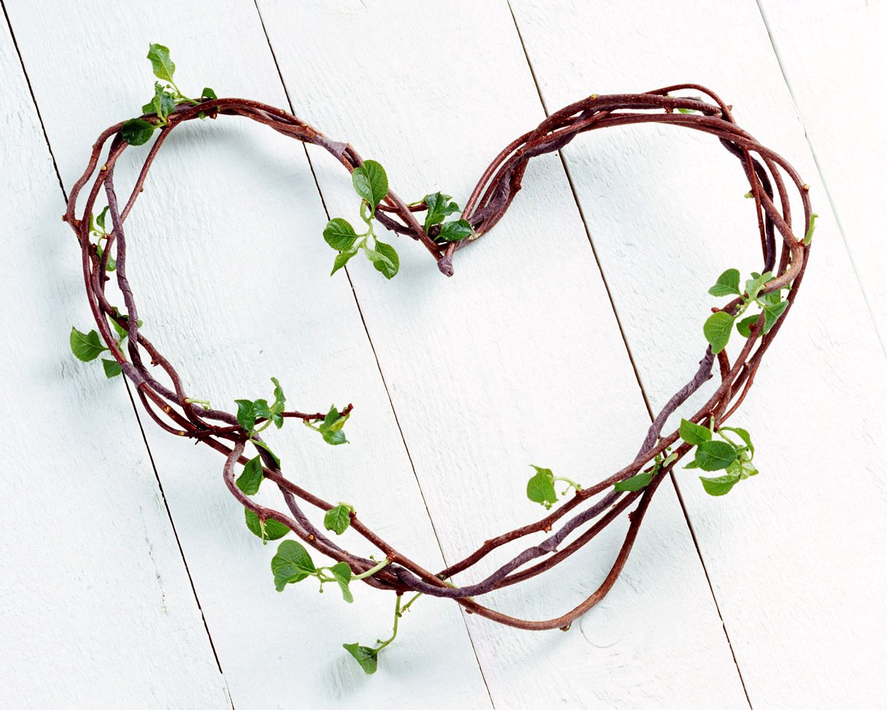 Download mobile wallpaper Branch, Leaves, Heart, Love for free.