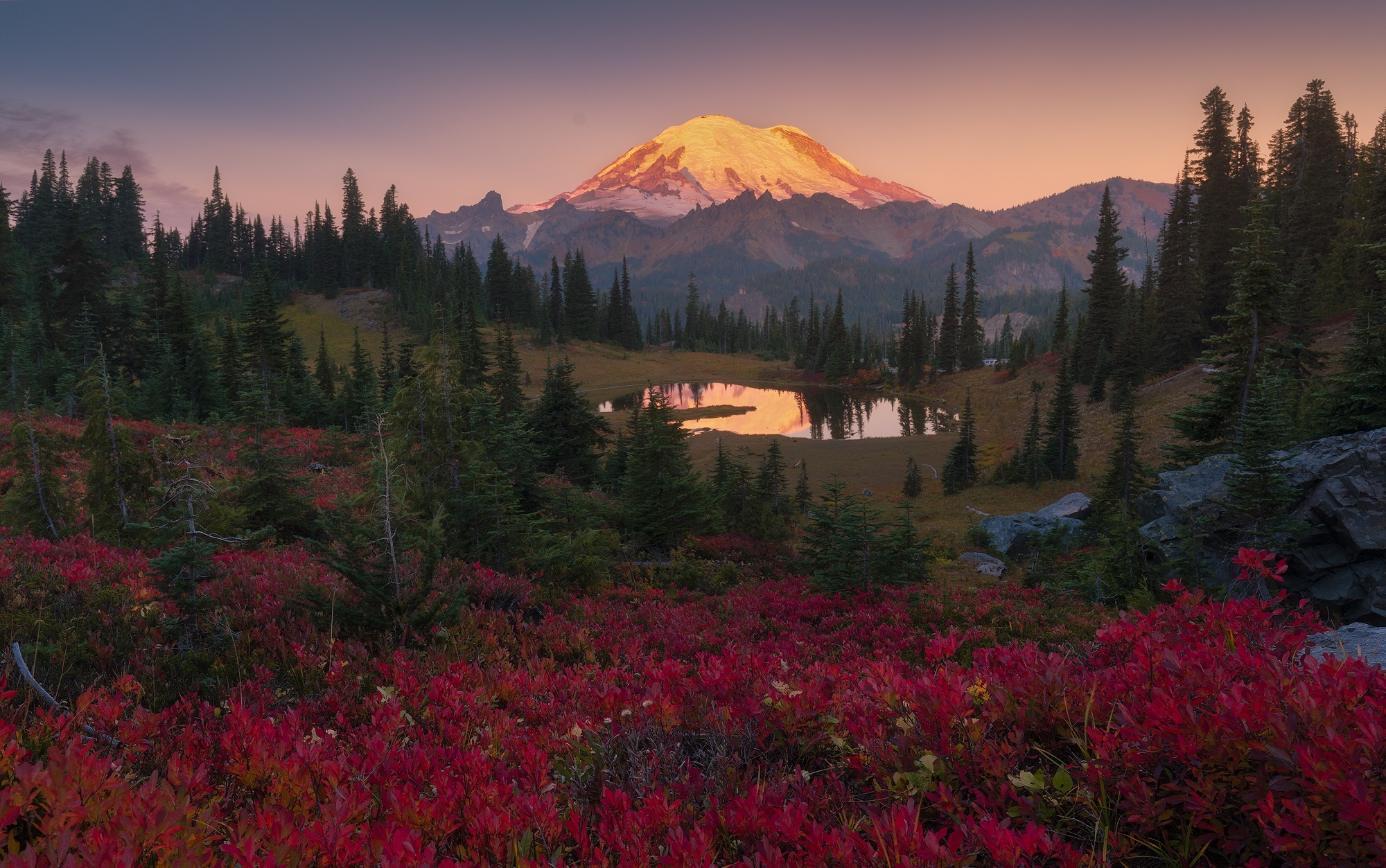 Descarga gratis la imagen Montañas, Monte Rainier, Tierra/naturaleza en el escritorio de tu PC