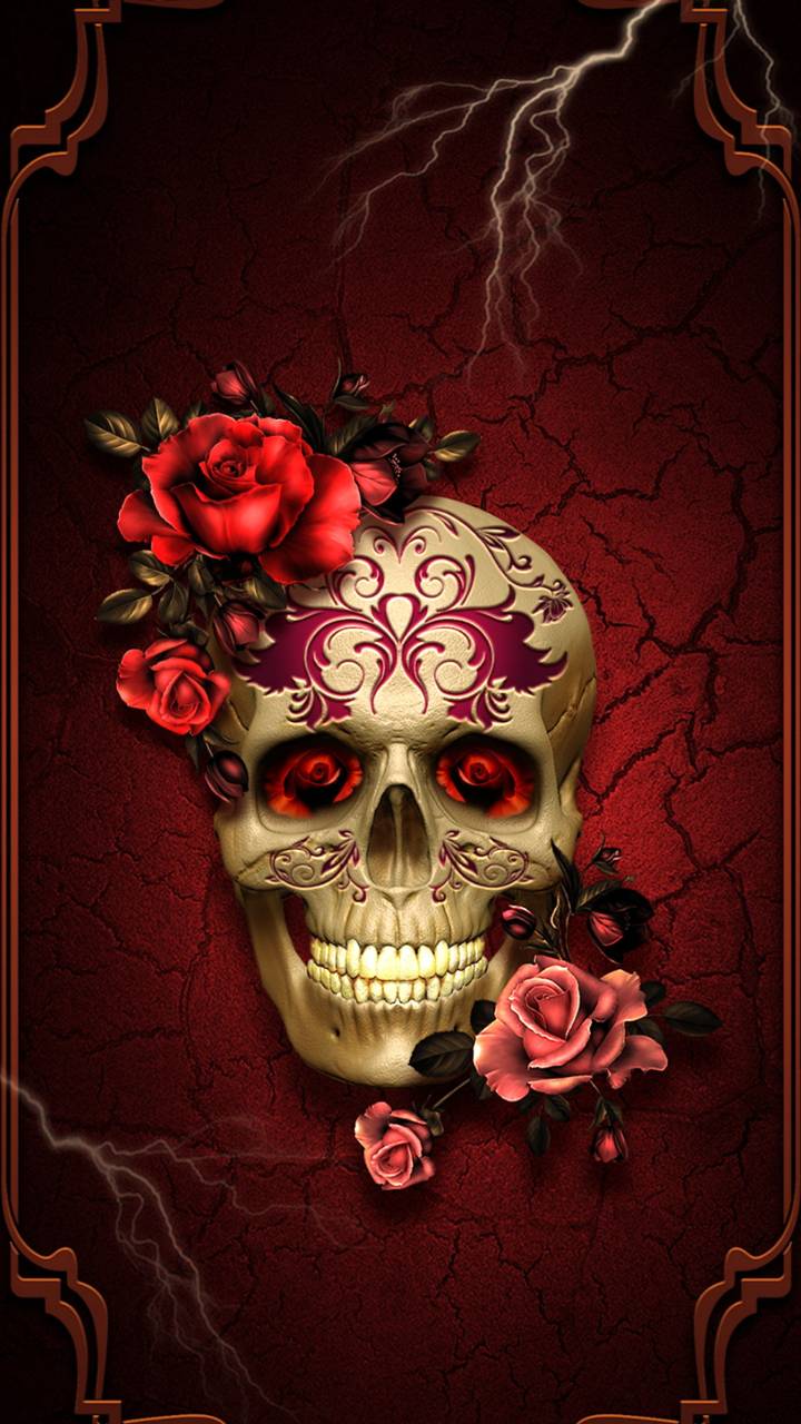Download mobile wallpaper Flower, Dark, Skull for free.