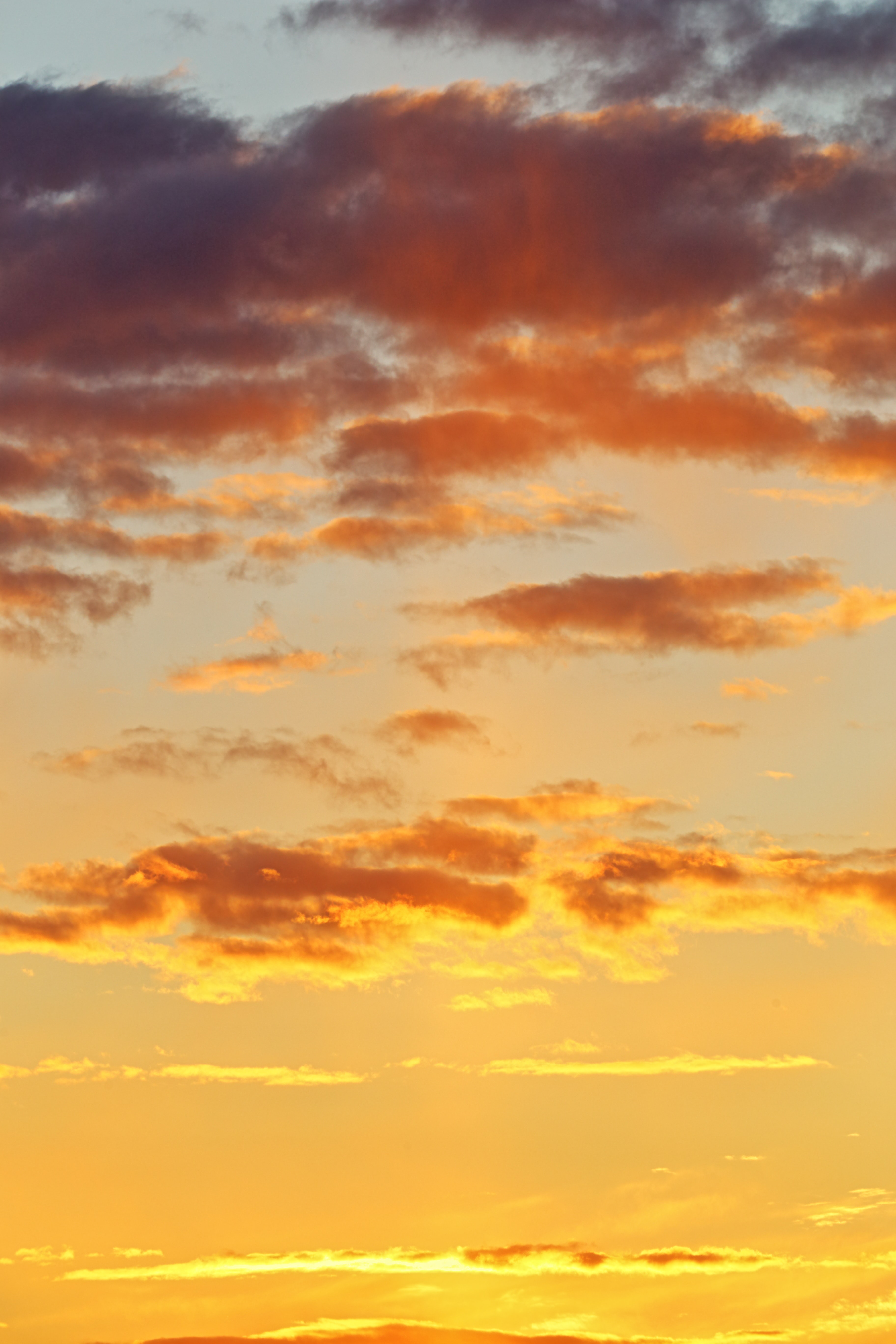 Free download wallpaper Sunset, Sky, Nature, Clouds, Golden, Gold on your PC desktop