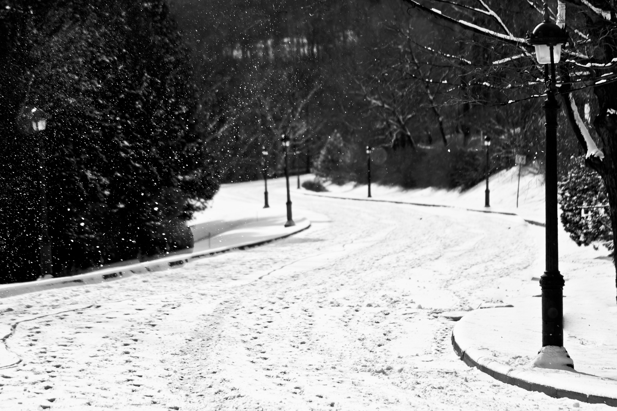 Free download wallpaper Winter, Photography, Black & White on your PC desktop