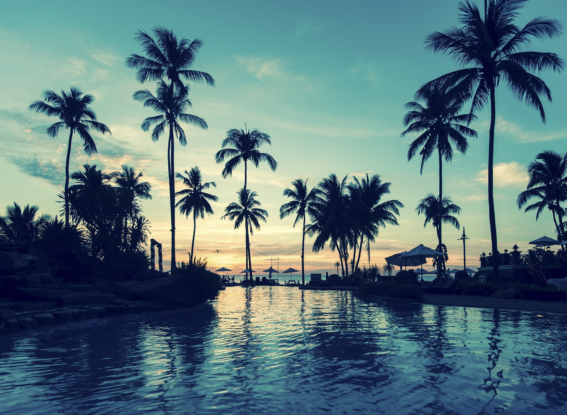 Download mobile wallpaper Water, Tropical, Resort, Man Made, Palm Tree for free.