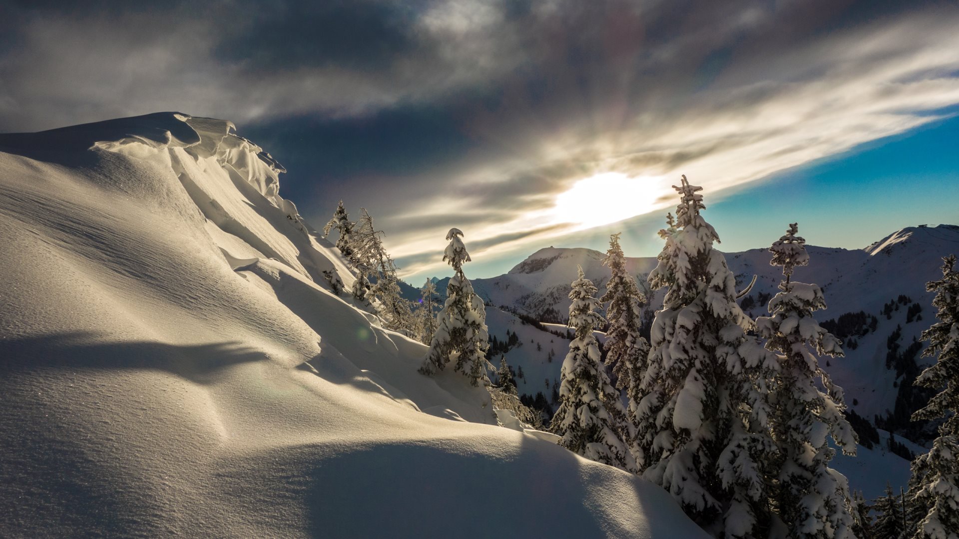 Baixar papel de parede para celular de Inverno, Neve, Floresta, Árvore, Terra/natureza gratuito.