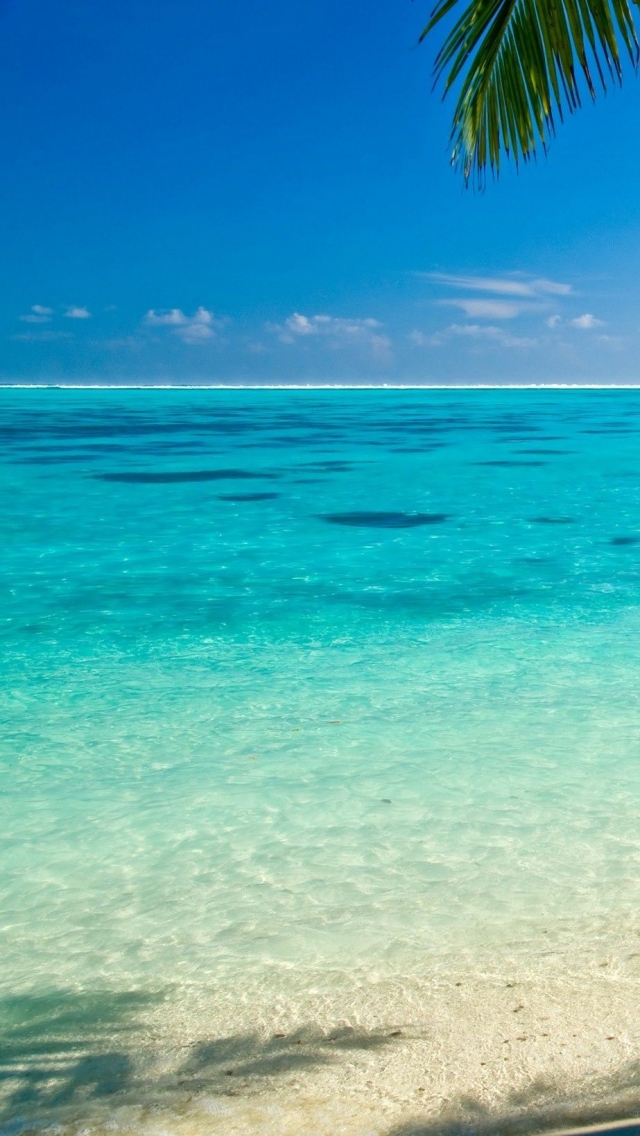 Descarga gratuita de fondo de pantalla para móvil de Playa, Fotografía.