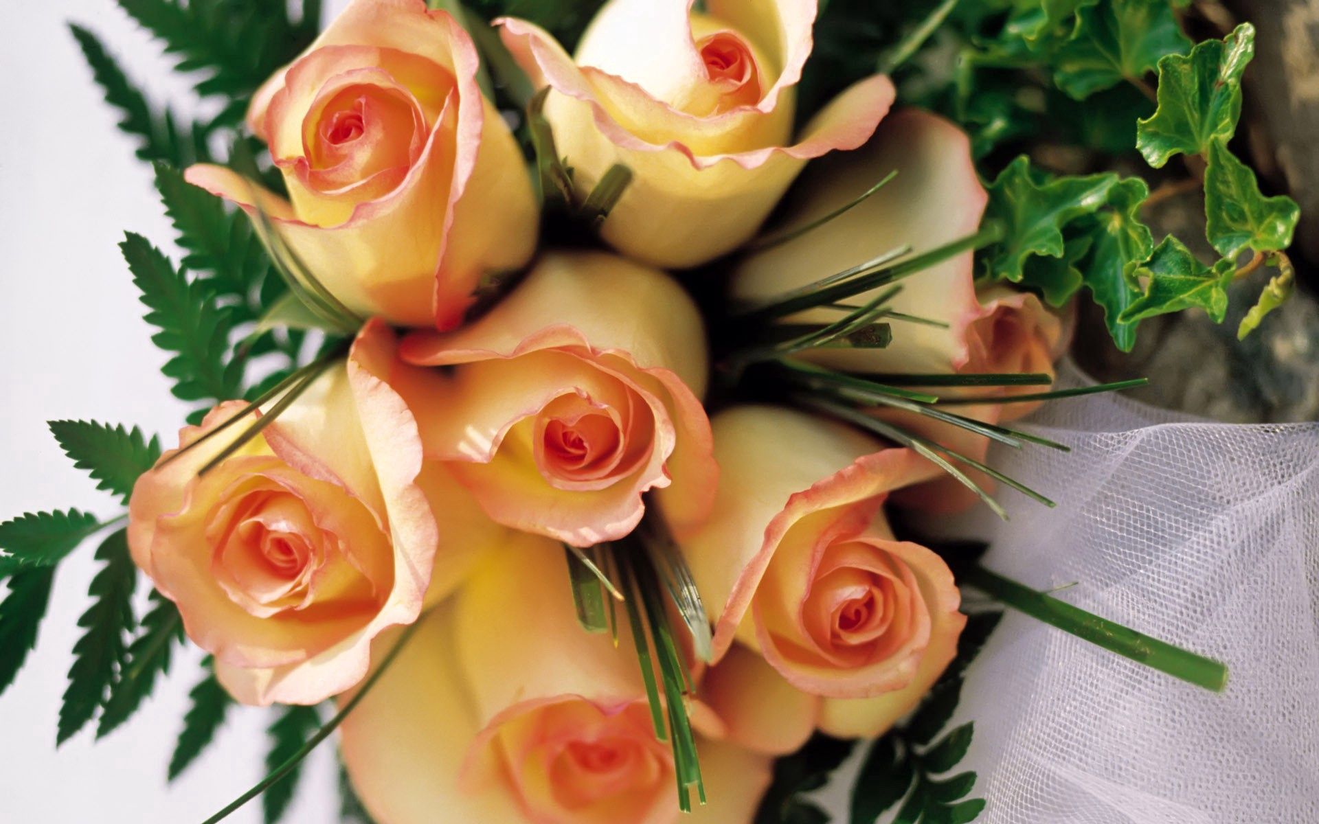 Laden Sie das Grass, Strauß, Bouquet, Roses, Blumen-Bild kostenlos auf Ihren PC-Desktop herunter