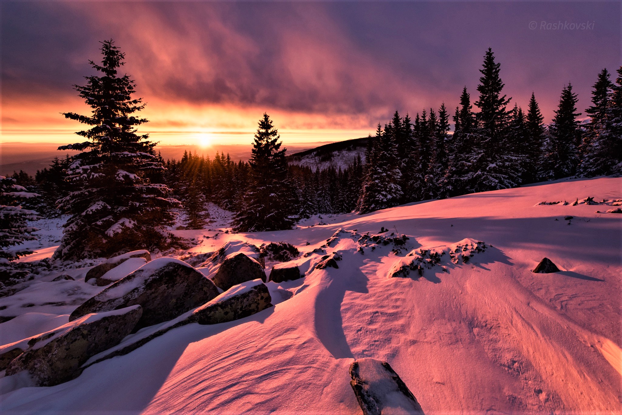 Download mobile wallpaper Landscape, Winter, Sunset, Snow, Forest, Tree, Earth for free.