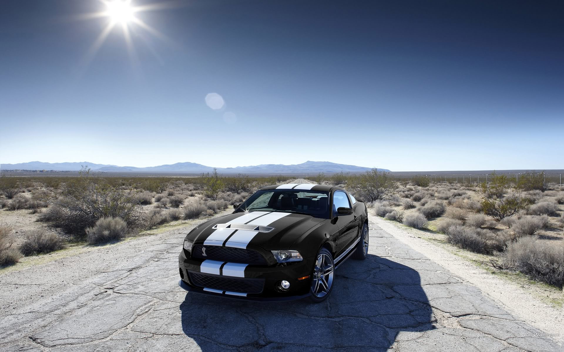 Free download wallpaper Ford, Ford Mustang, Vehicles on your PC desktop