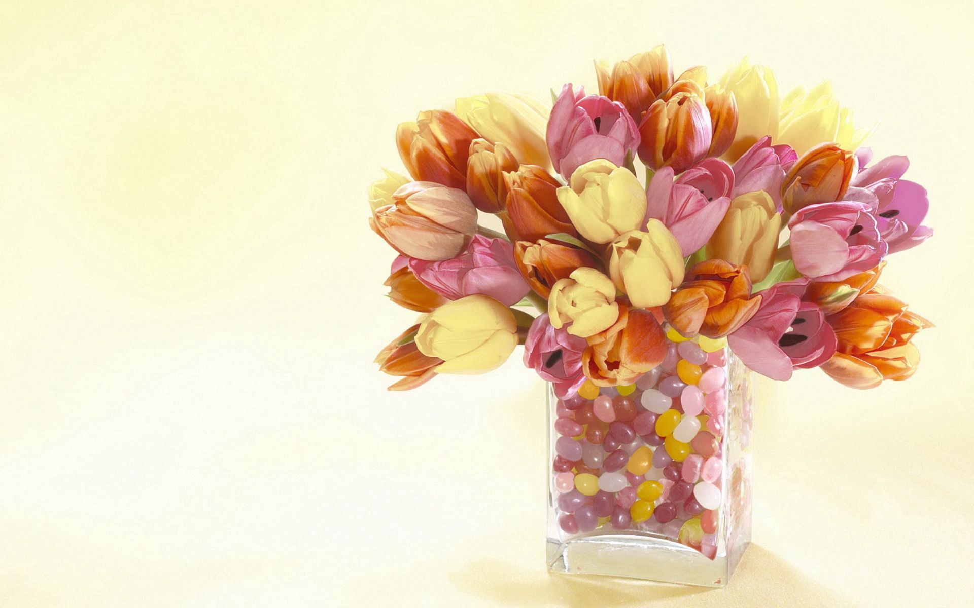 99123 télécharger le fond d'écran fleurs, noyaux, tulipes, vase, décoratif - économiseurs d'écran et images gratuitement