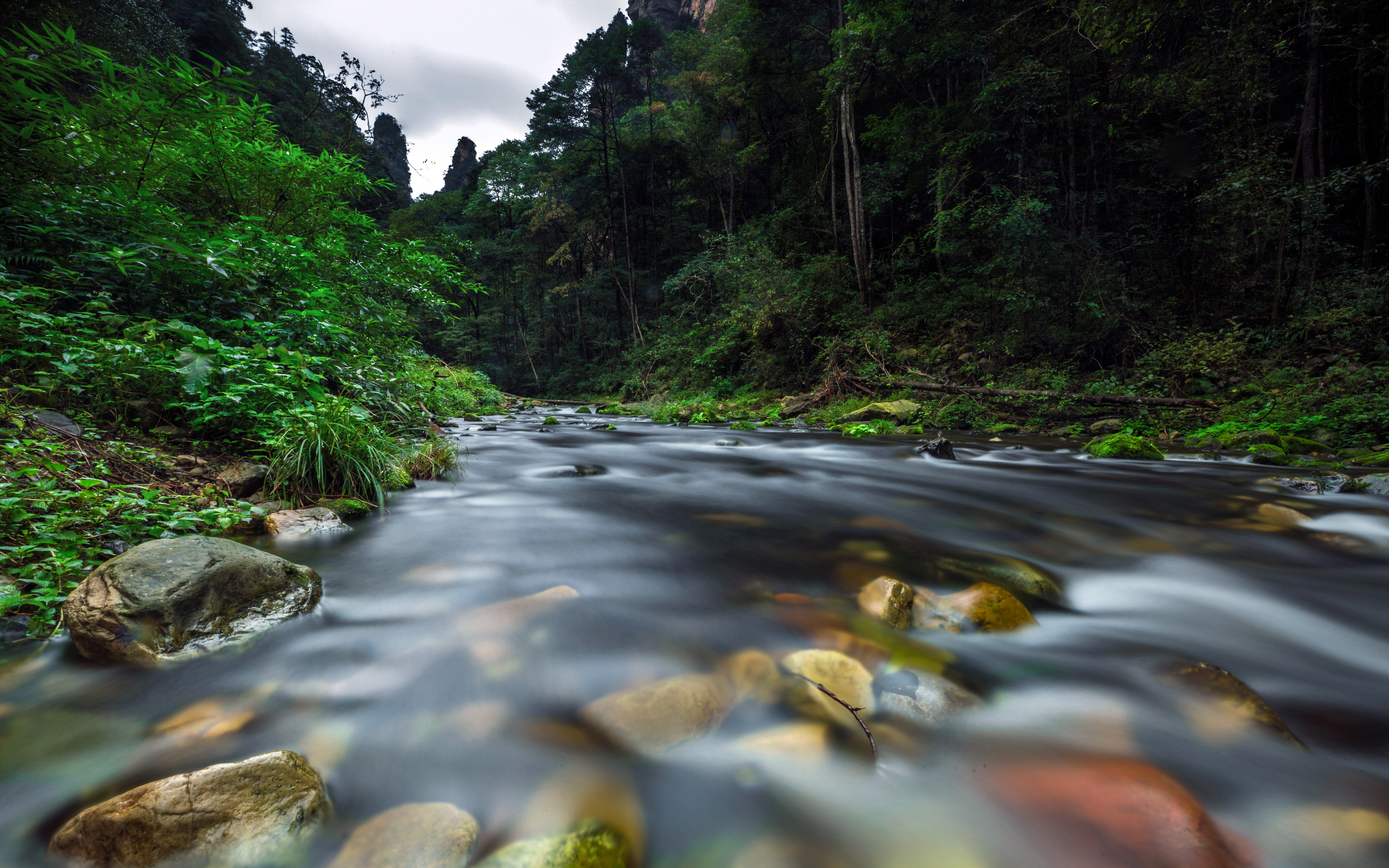 Download mobile wallpaper Forest, Earth, China, River for free.