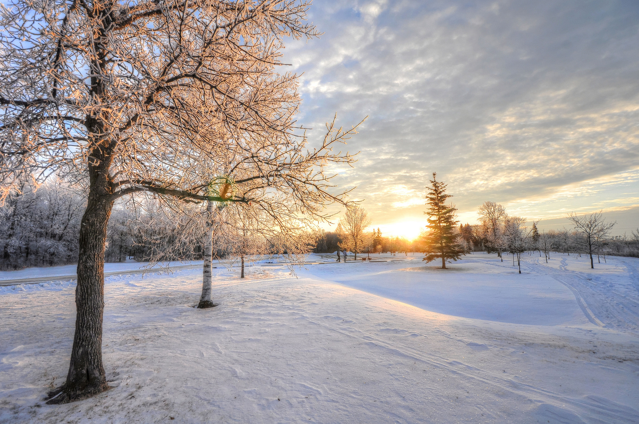 Скачать картинку Пейзаж, Снег, Земля/природа в телефон бесплатно.