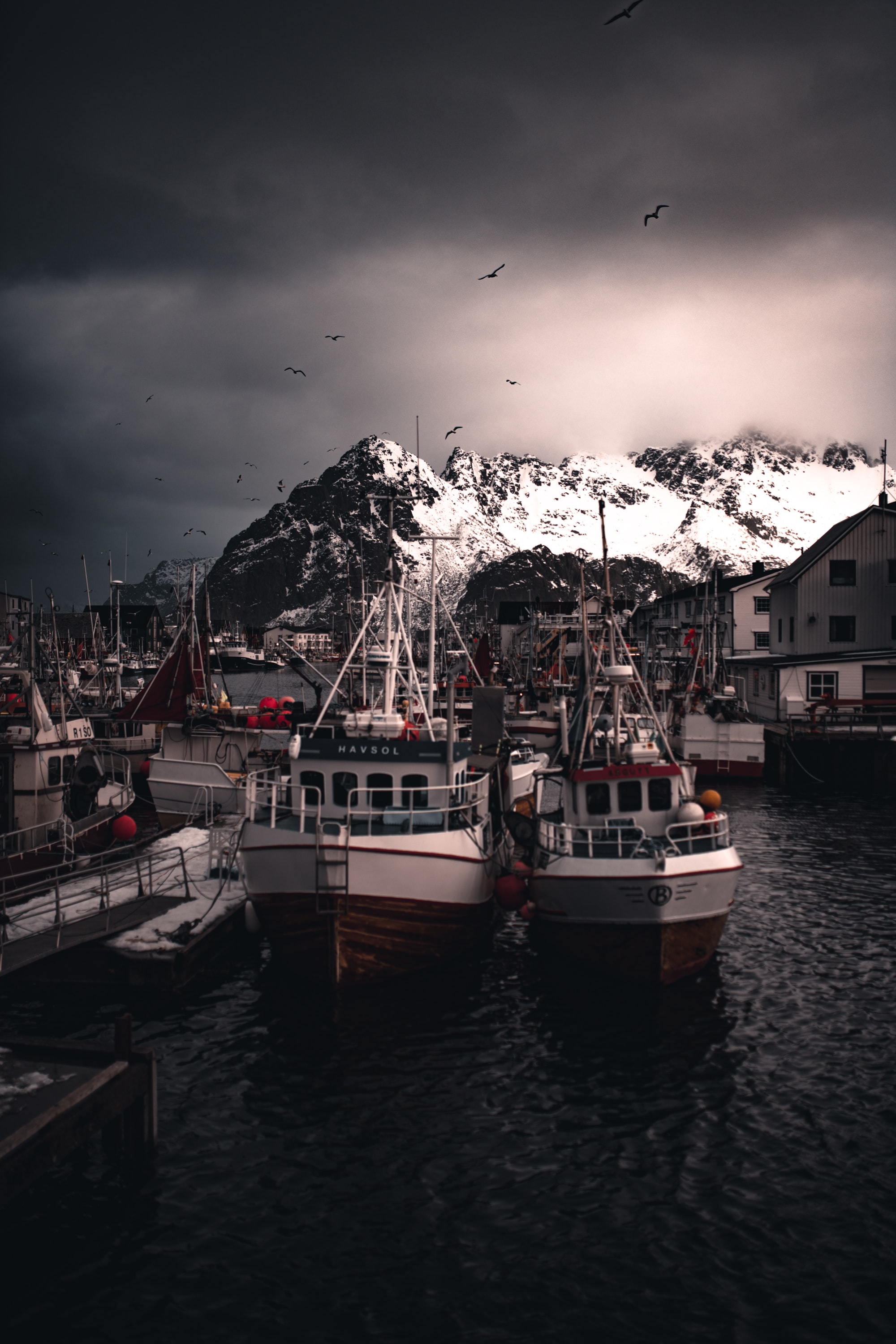 Free download wallpaper Birds, Mountains, Pier, Miscellanea, Miscellaneous, Snowbound, Snow Covered, Wharf, Boats on your PC desktop