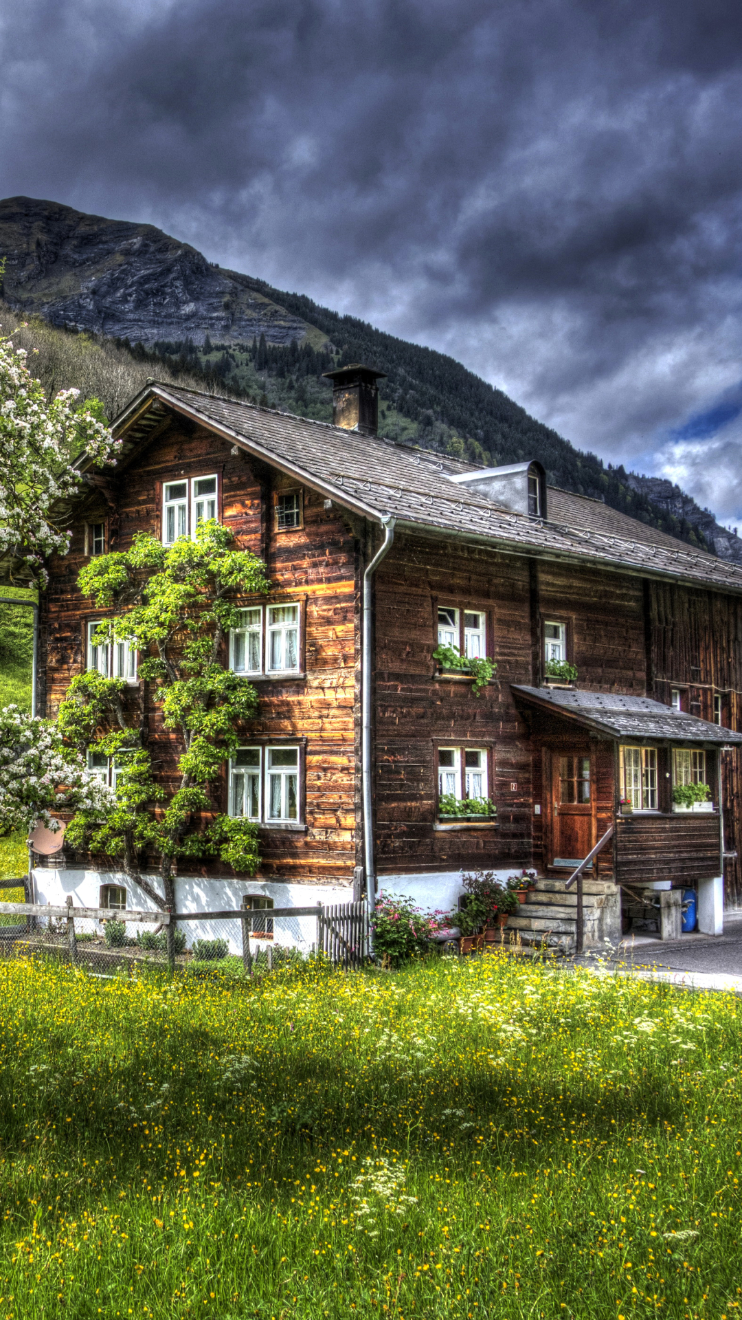 Handy-Wallpaper Alpen, Schweiz, Hdr, Fotografie, Gras kostenlos herunterladen.