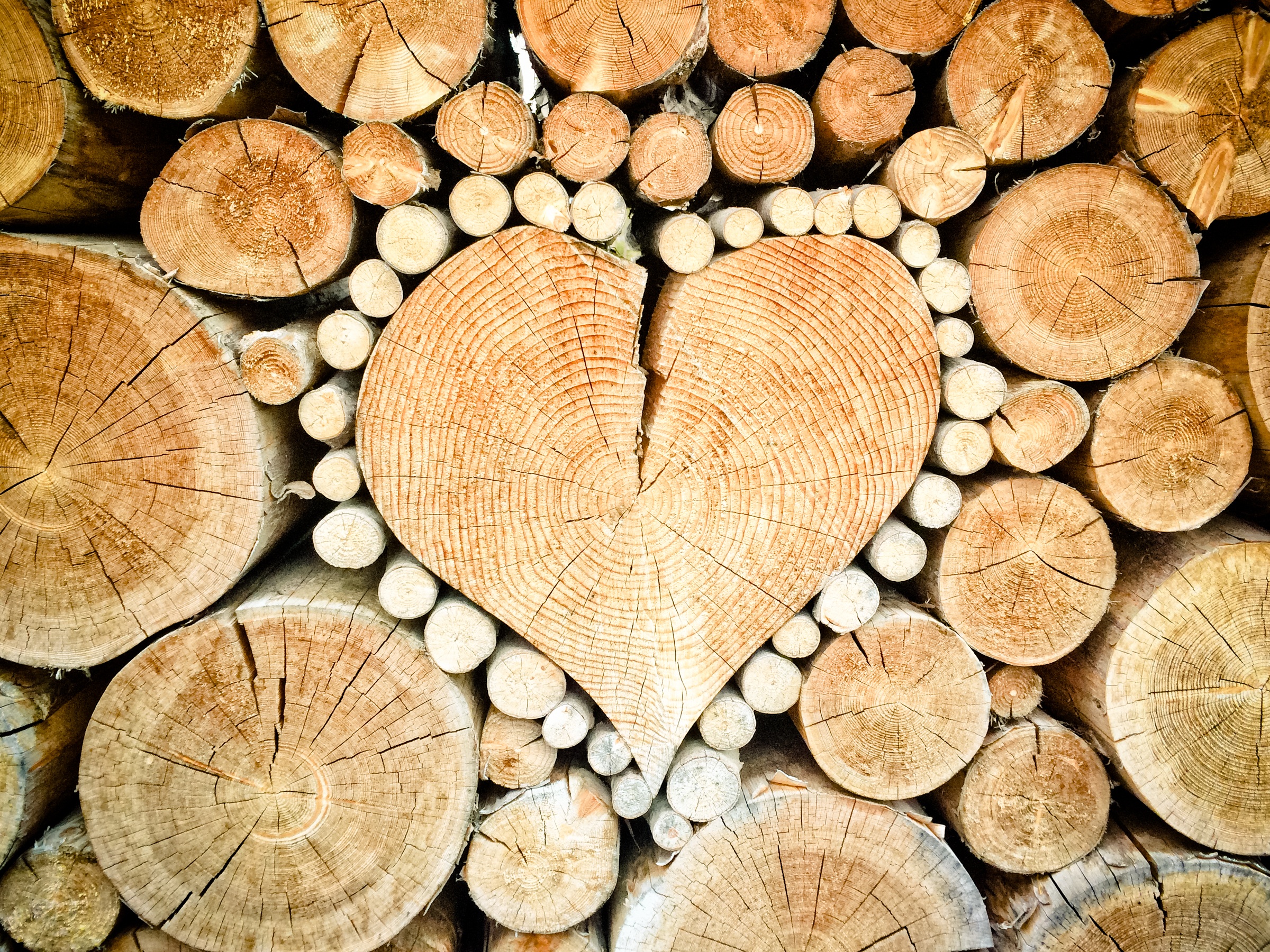 Free download wallpaper Tree, Logs, Wood, Heart, Love on your PC desktop