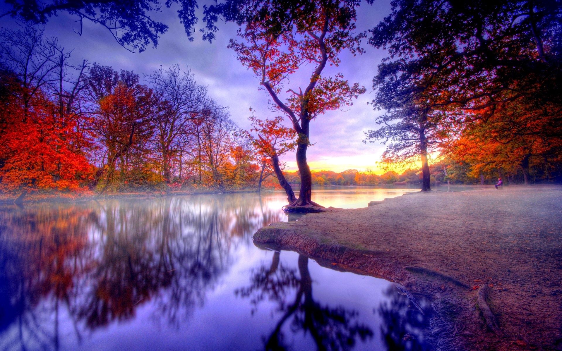 121021 descargar imagen otoño, árboles, naturaleza, lago, silencio: fondos de pantalla y protectores de pantalla gratis