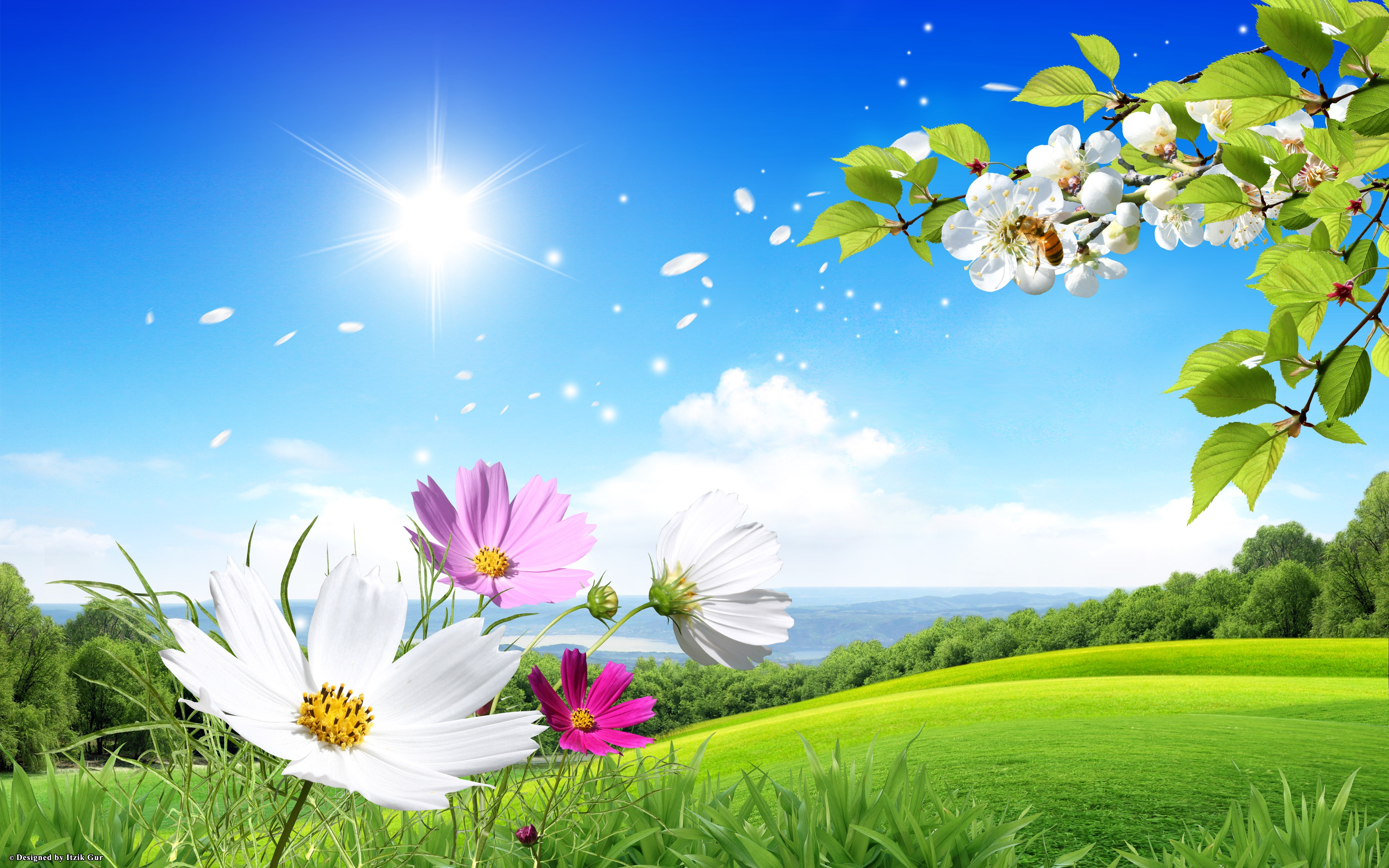 無料モバイル壁紙宇宙, 花, ブランチ, 春, 芸術的, 牧草地, 白い花, 分野, ピンクの花をダウンロードします。