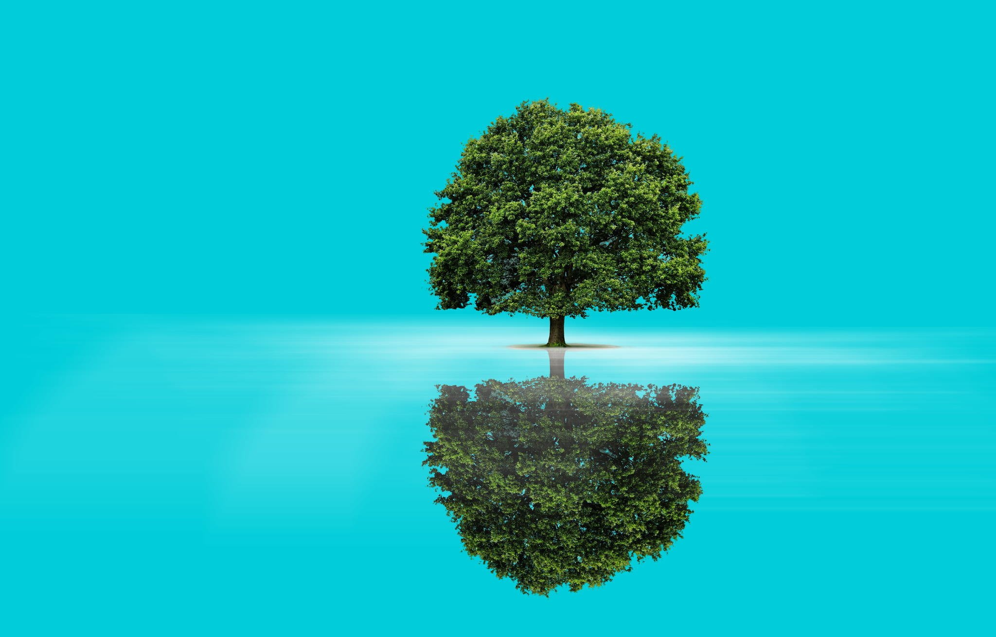 Скачать обои бесплатно Вода, Отражение, Дерево, Синий, Художественные картинка на рабочий стол ПК