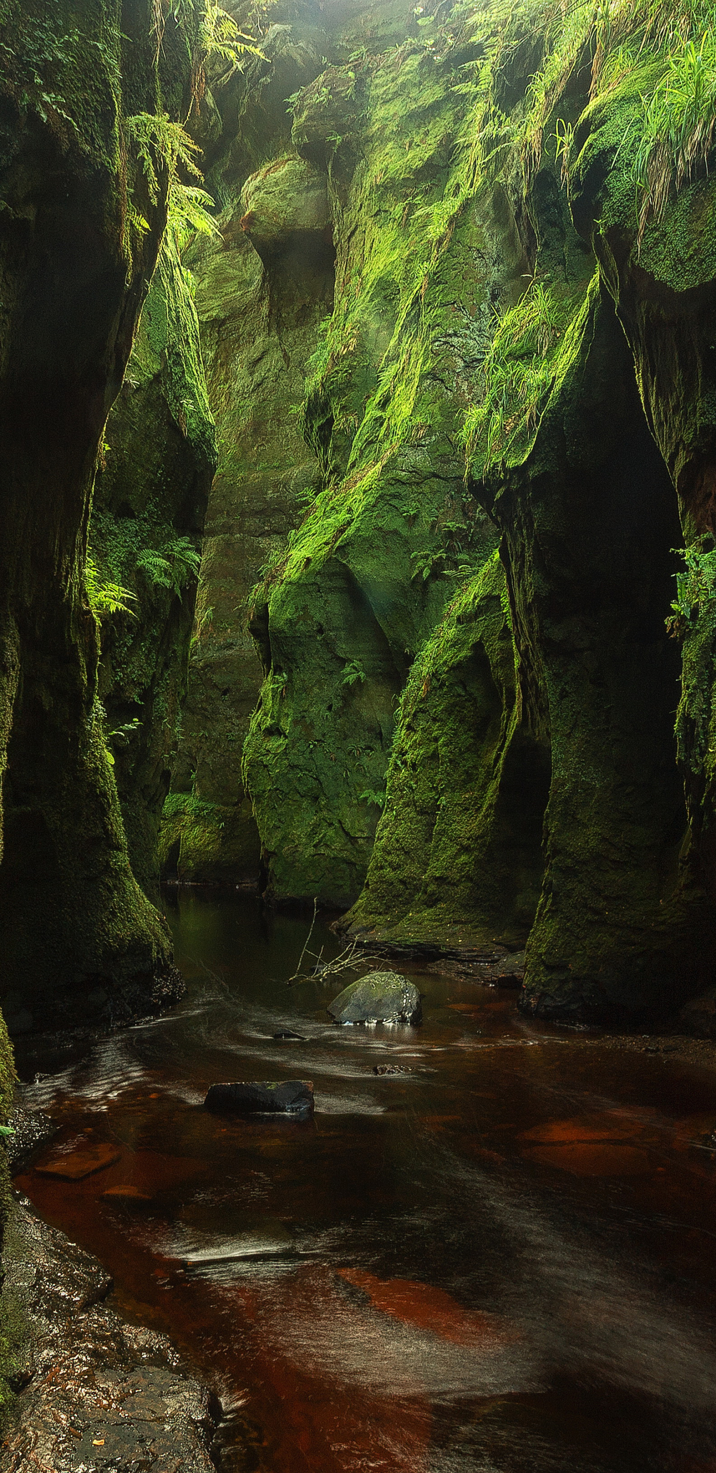 Free download wallpaper Nature, Canyon, Earth, Moss, Stream, Canyons on your PC desktop