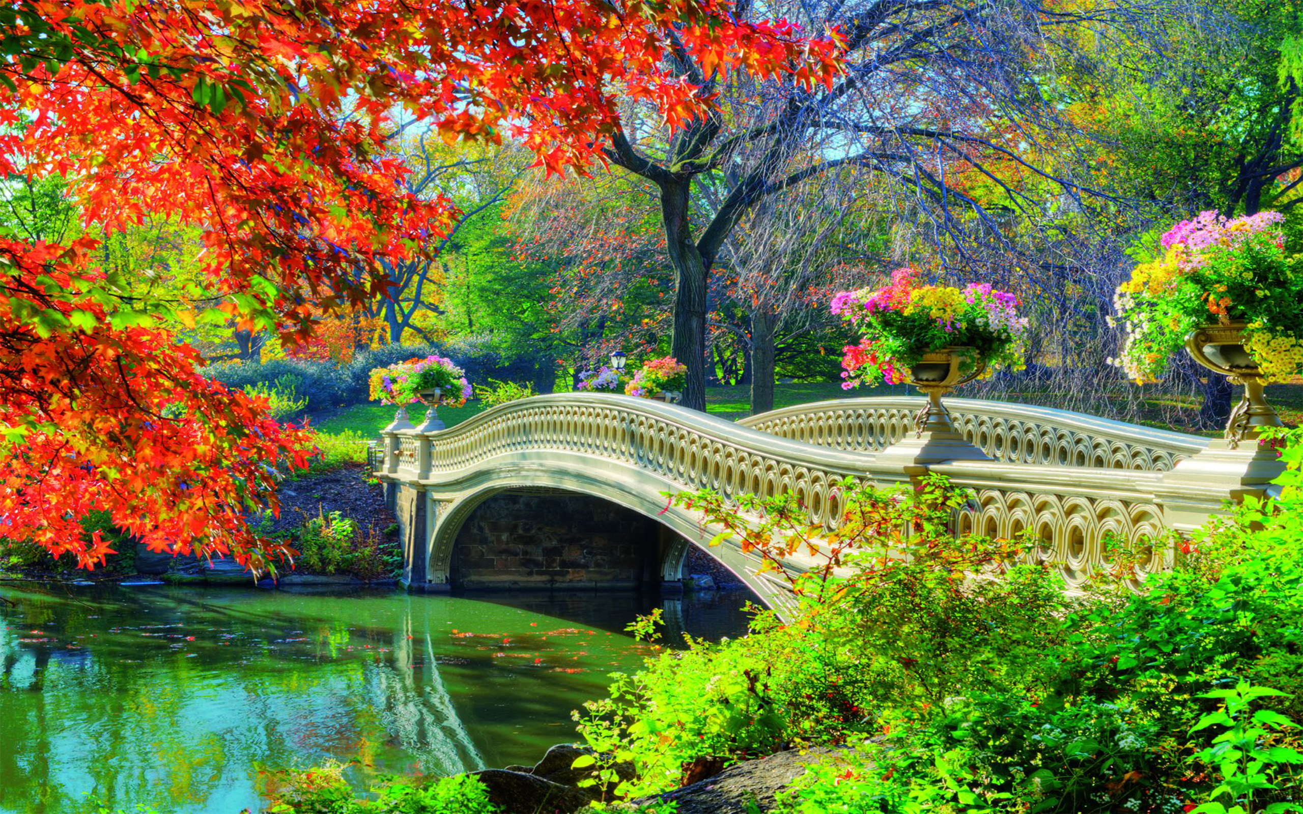 garden, central park, spring, man made, bridge, bow bridge, flower, bridges