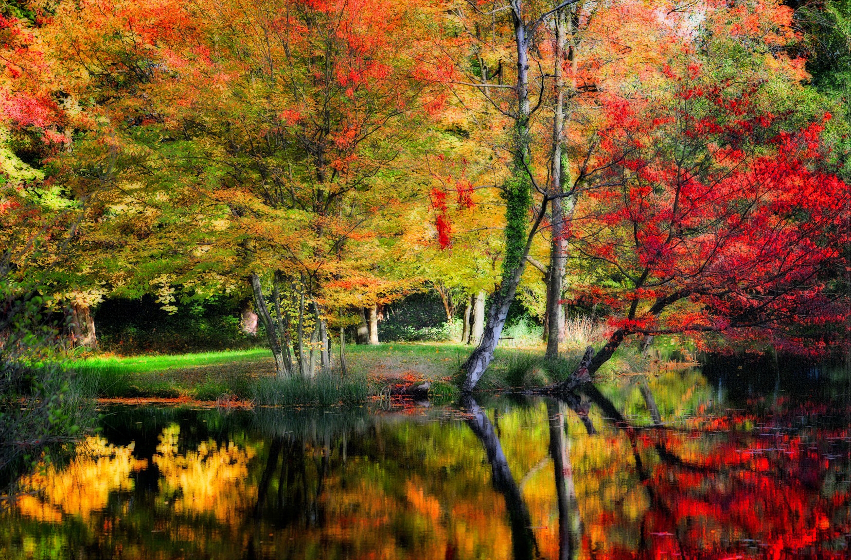 Скачать обои бесплатно Осень, Озеро, Отражение, Дерево, Земля/природа картинка на рабочий стол ПК
