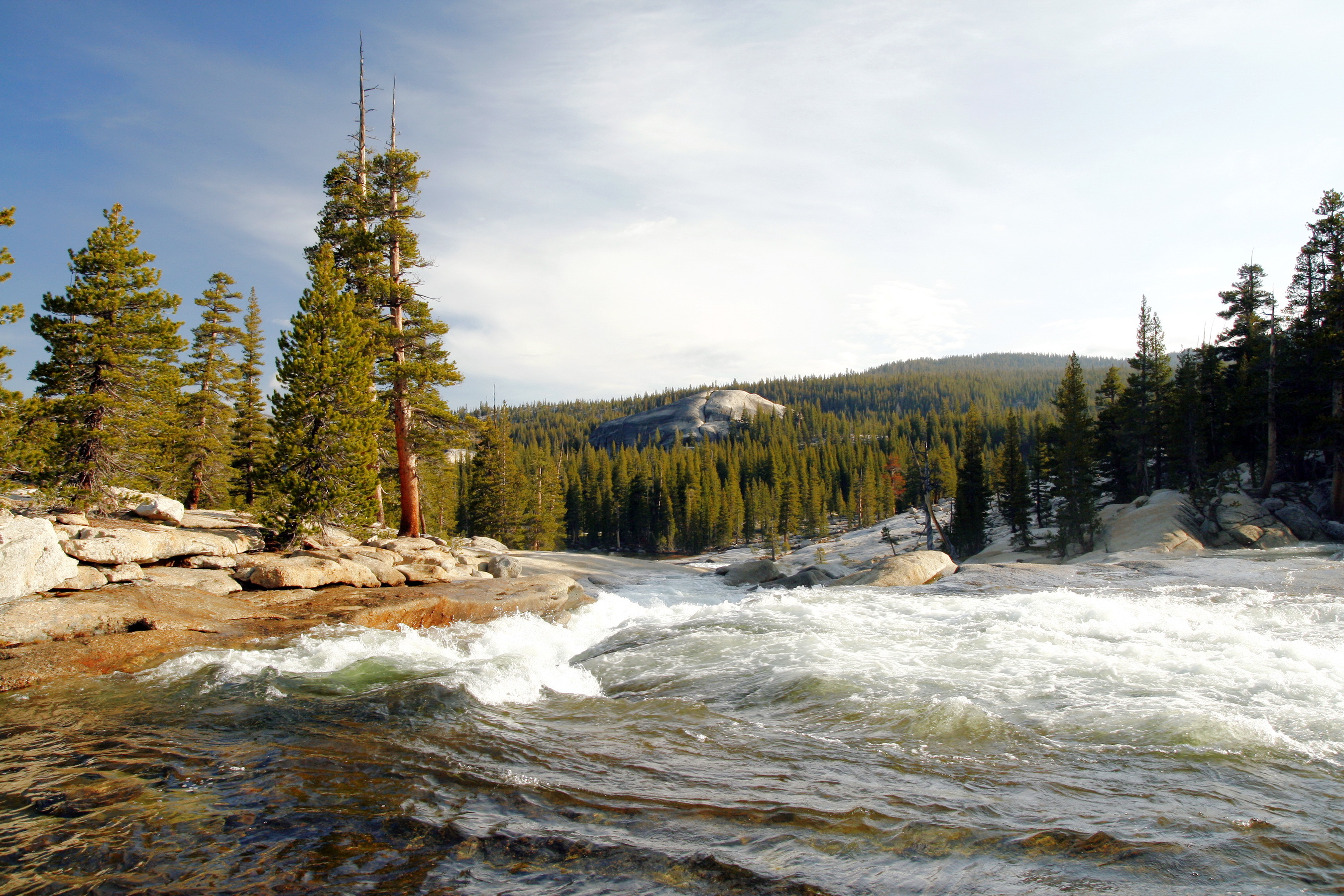 Téléchargez gratuitement l'image Paysage, Forêt, Etats Unis, Californie, Parc National, Parc National De Yosemite, Terre/nature, Rivière sur le bureau de votre PC